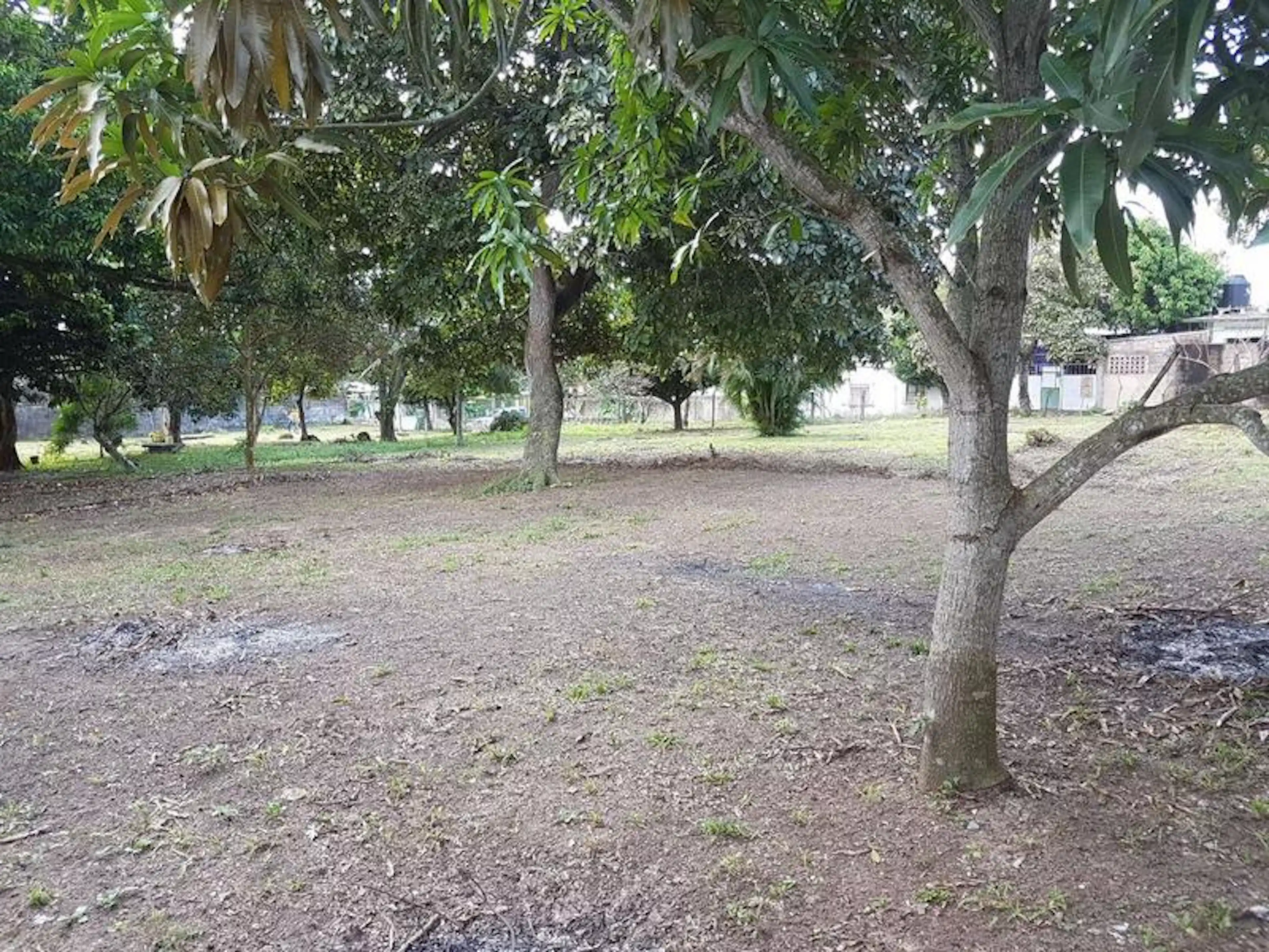 Amplio Terreno, En Venta, Colonia De La Fuente, Minatitlán