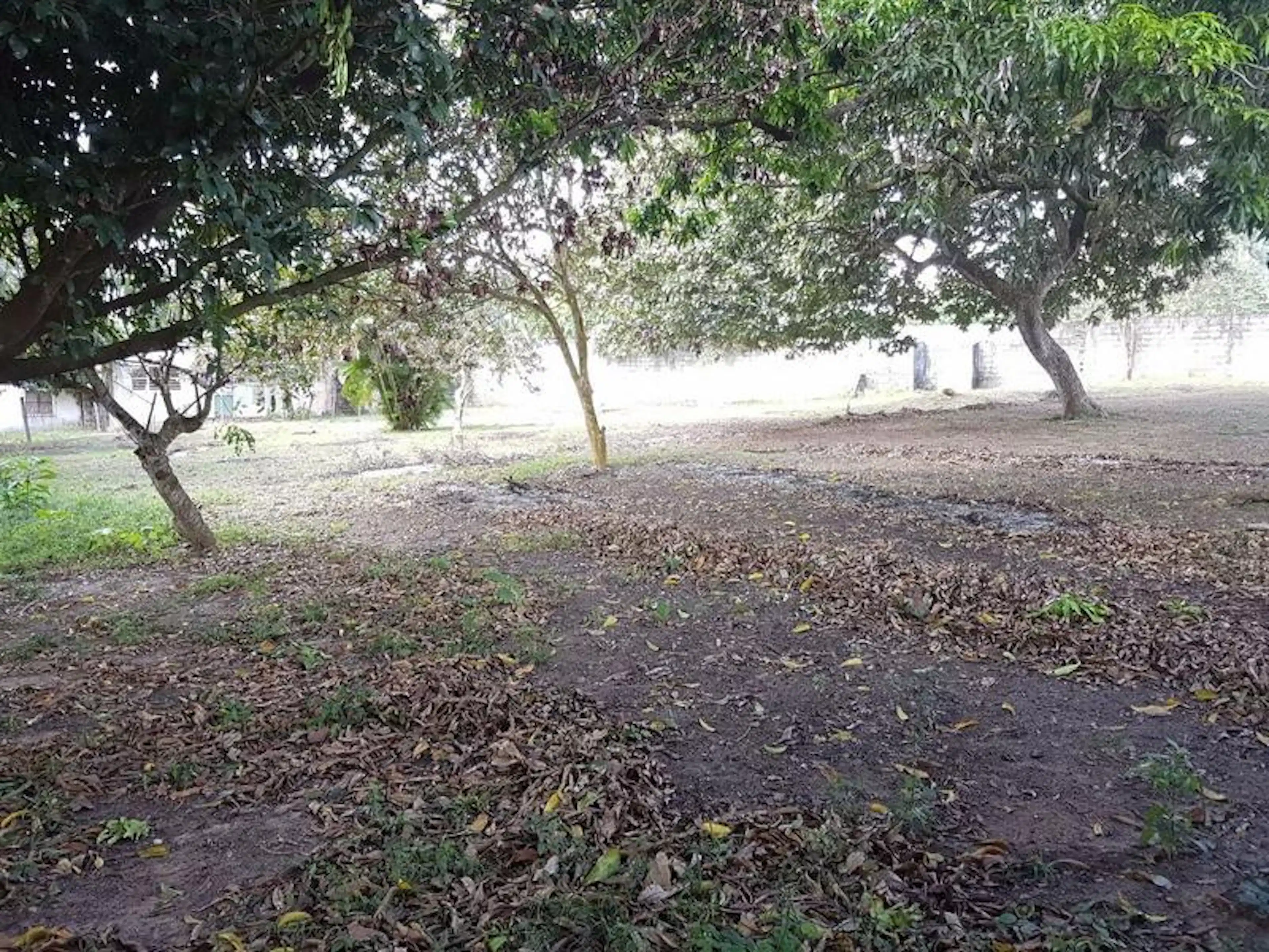 Amplio Terreno, En Venta, Colonia De La Fuente, Minatitlán