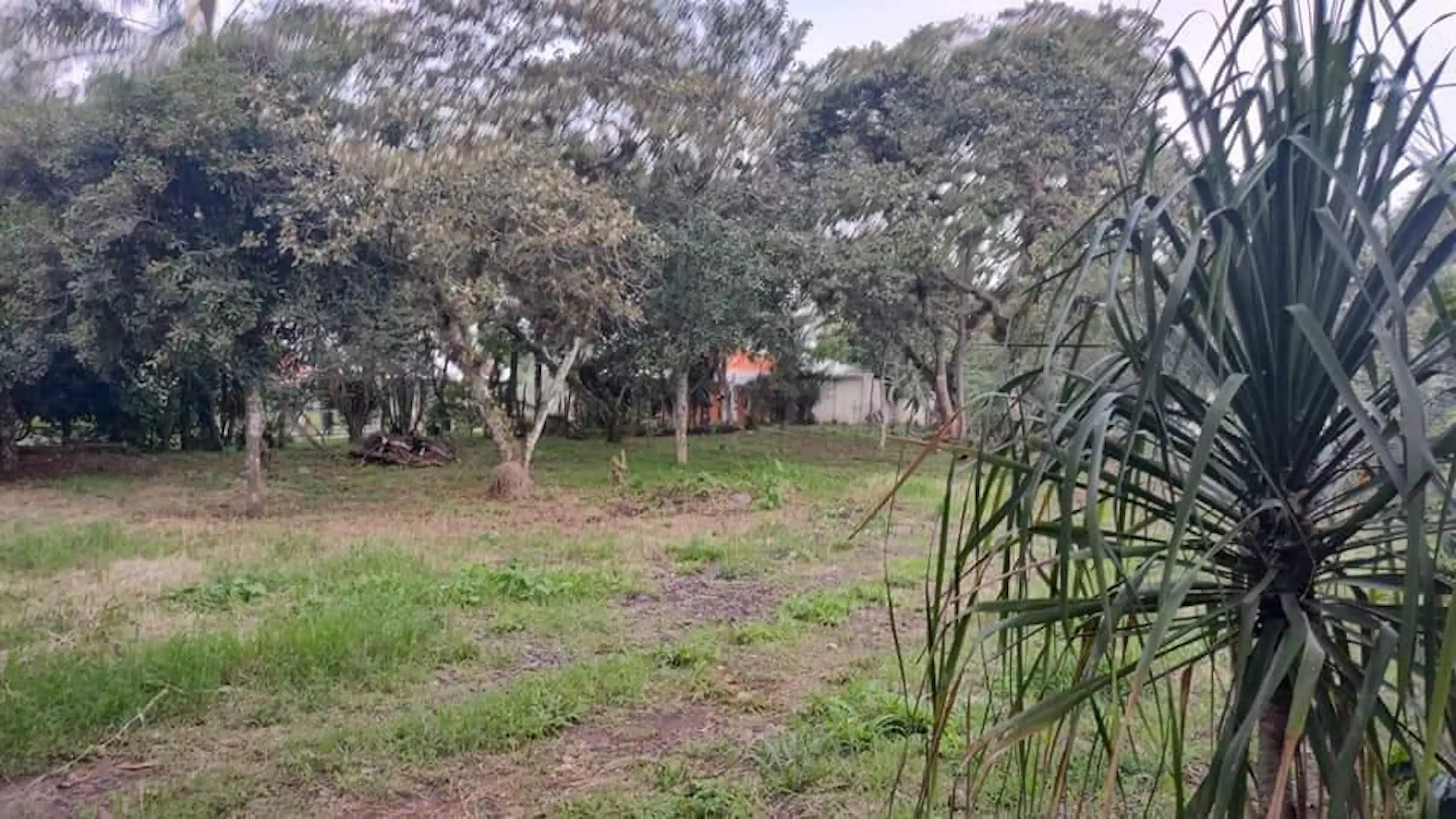 Terreno En Venta En La Orduña Coatepec Zona Libramiento Nuevo