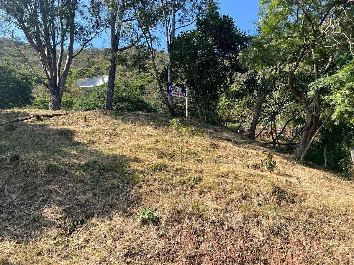 Terreno Spot2