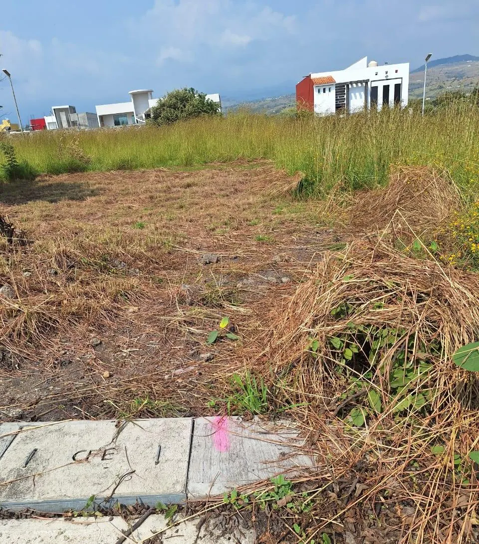 Terreno Spot2
