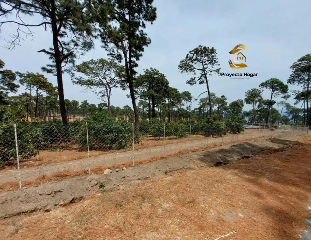 Terreno Spot2