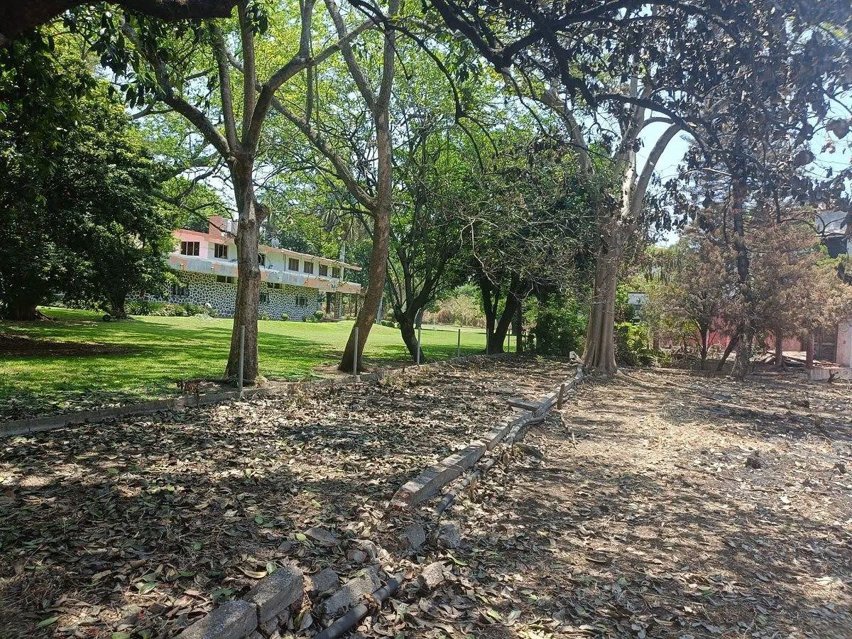 Terreno Spot2