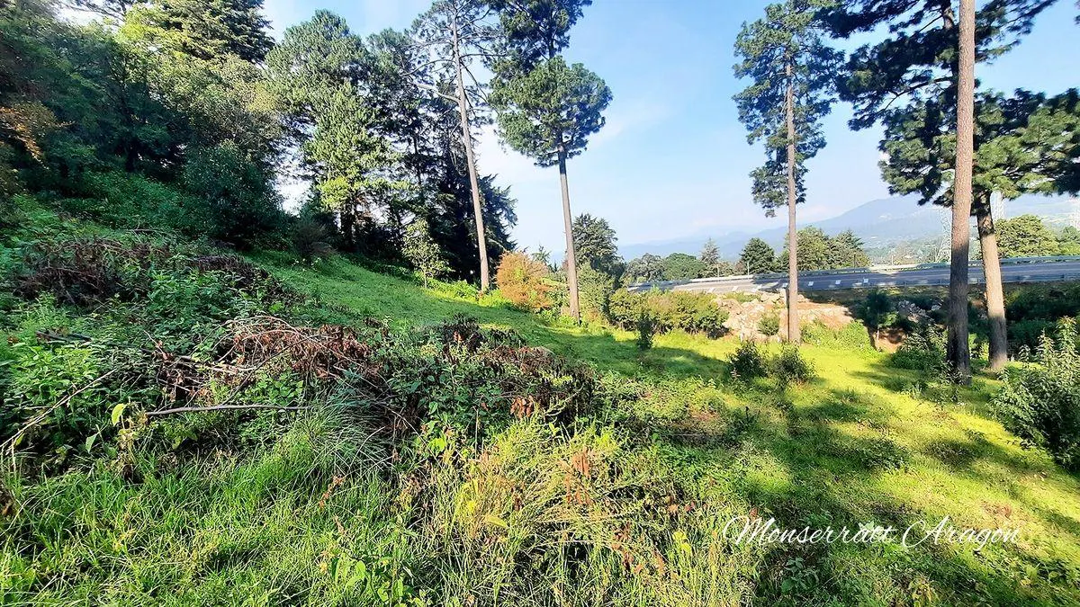 Terreno Spot2