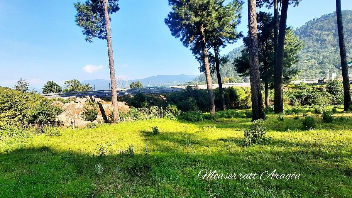 Terreno Spot2