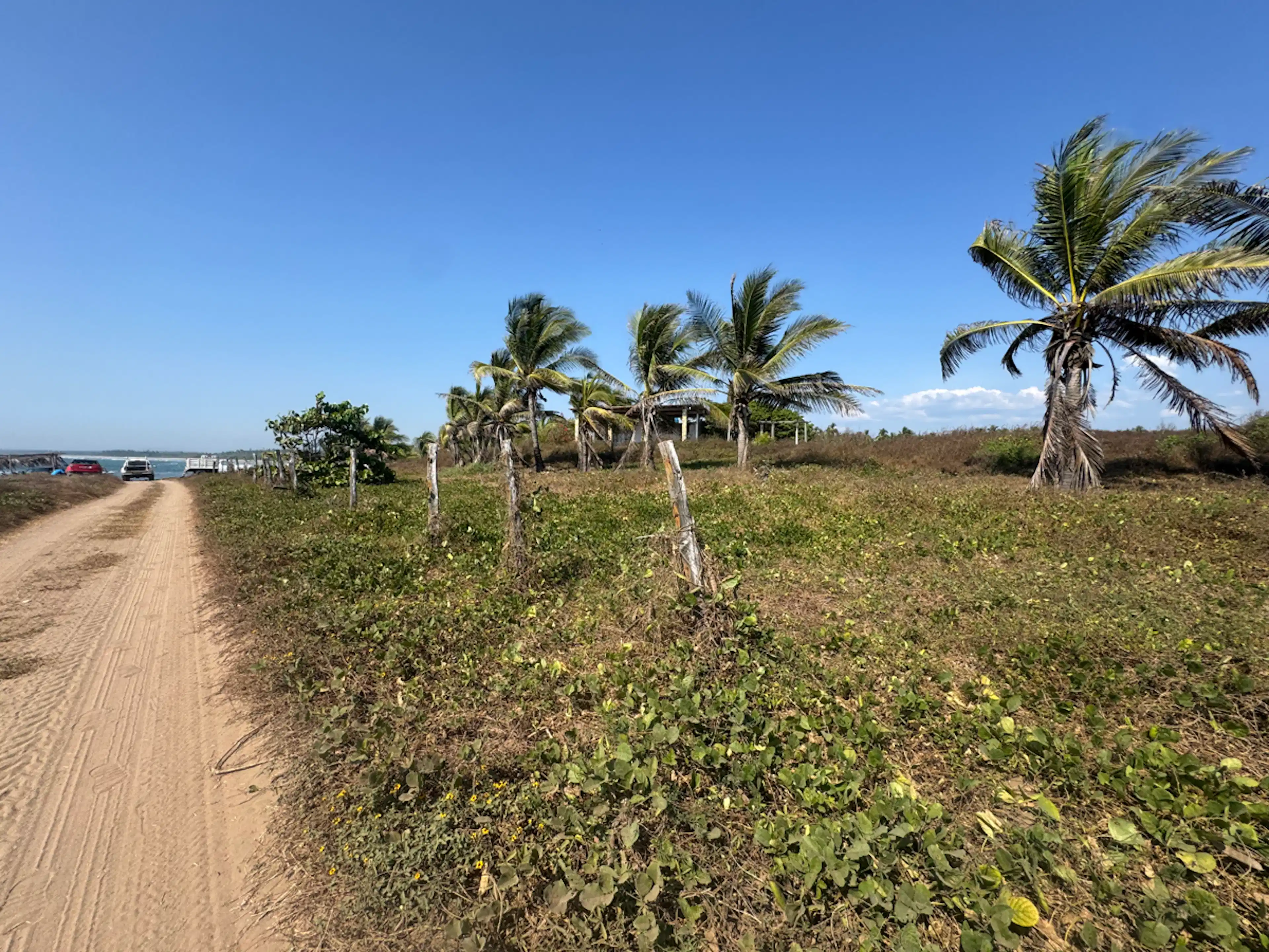 Terreno En Venta En Joluta, La Unión De Isidoro Montes De Oca, Guerrero