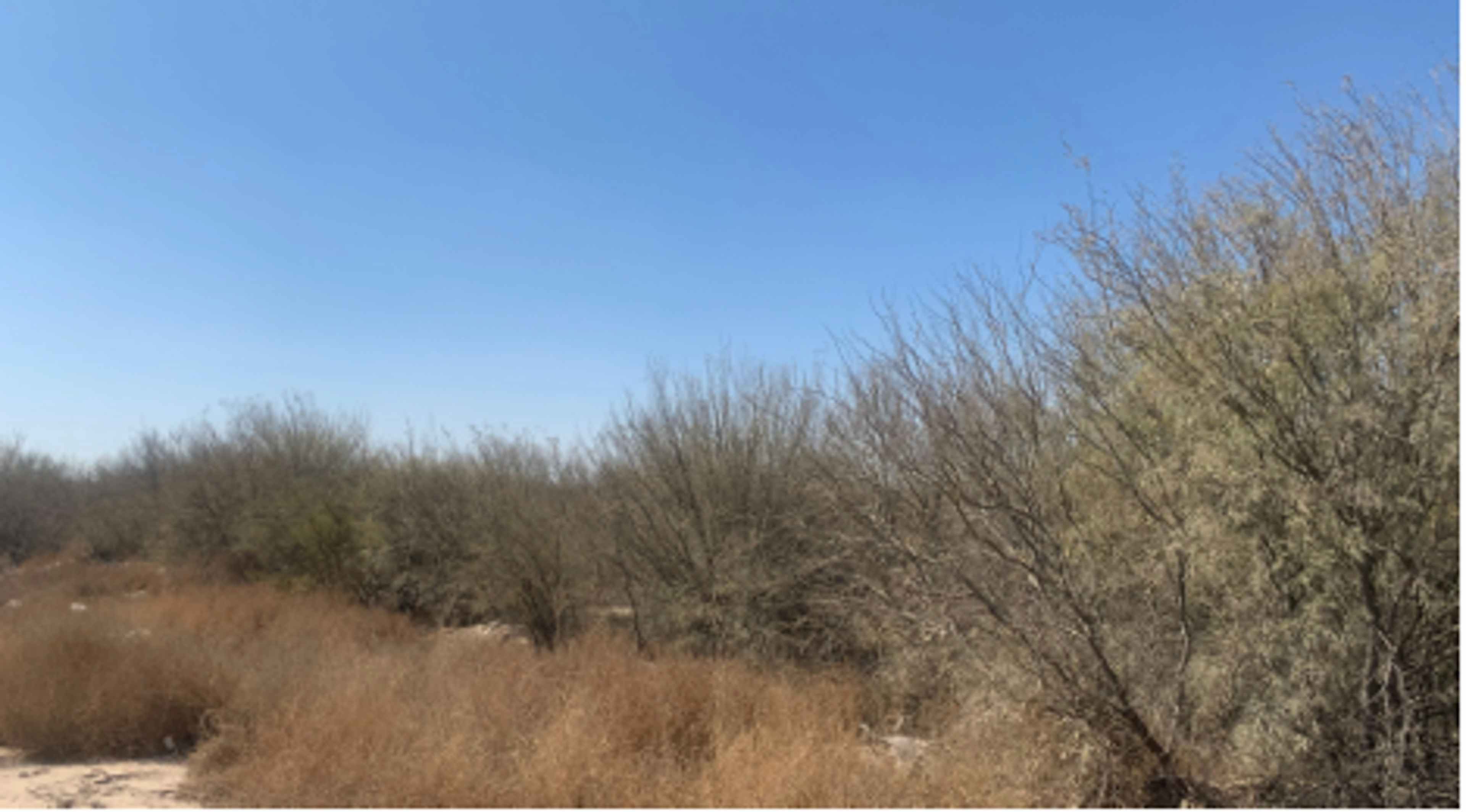 Terreno En La Florida, Francisco I. Madero, Coahuila De Zaragoza