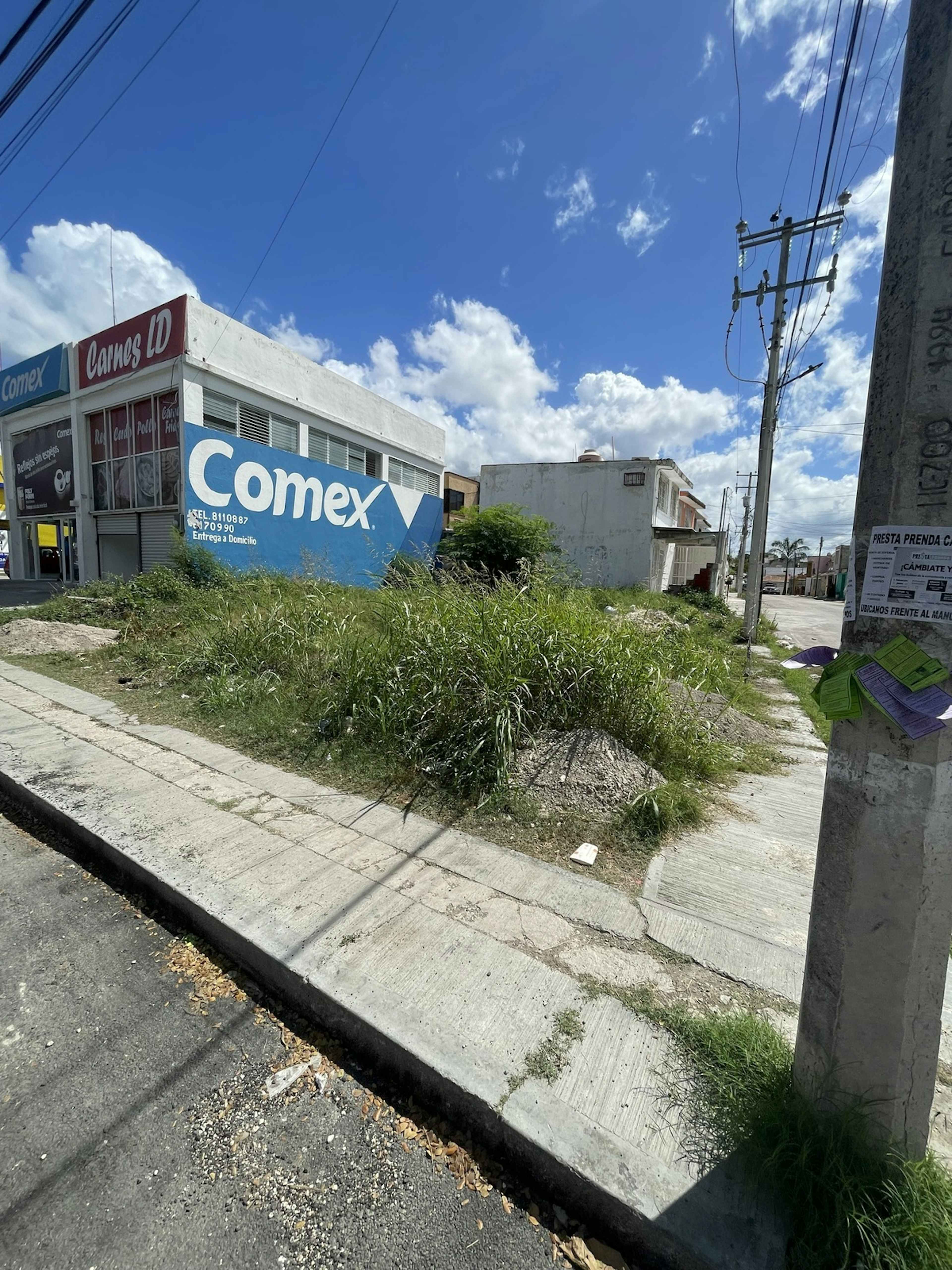 Avenida Concordia 24