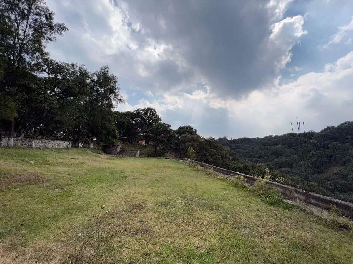 Terreno Spot2
