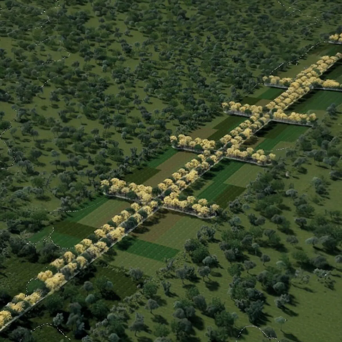 Terreno Spot2