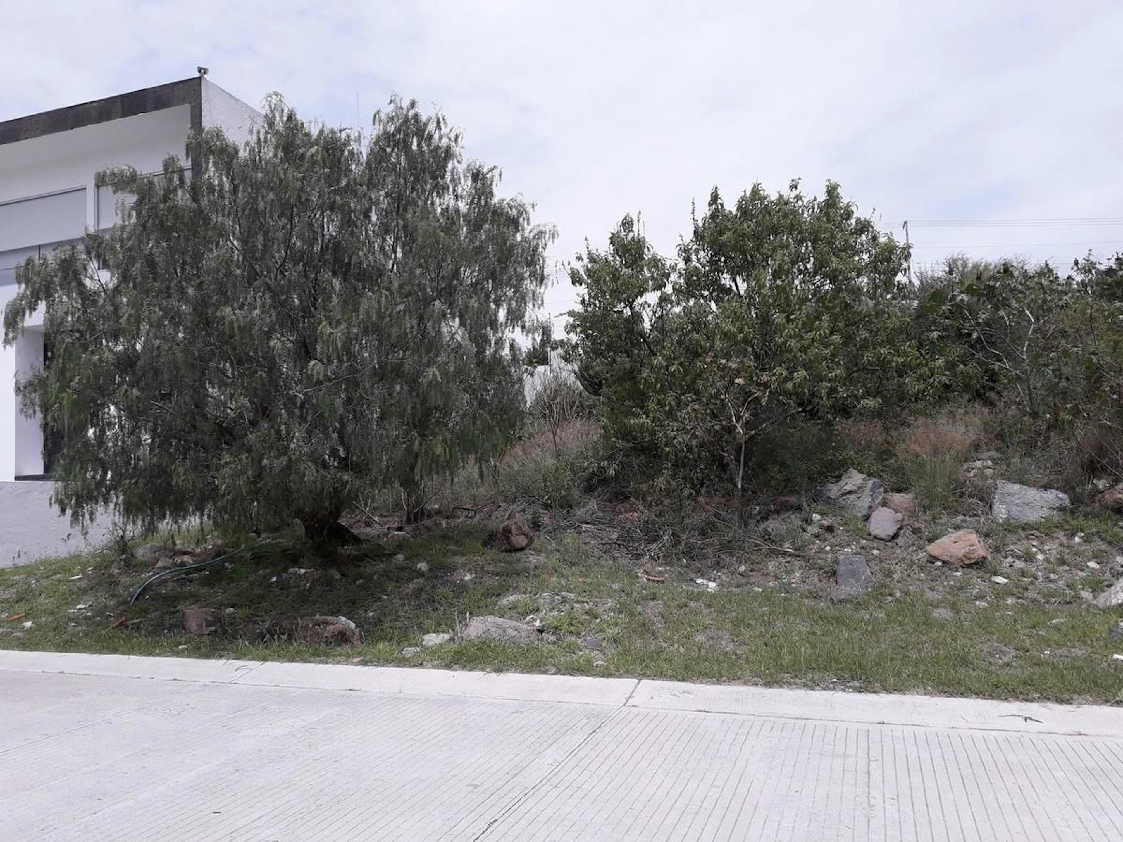 Spot image 0