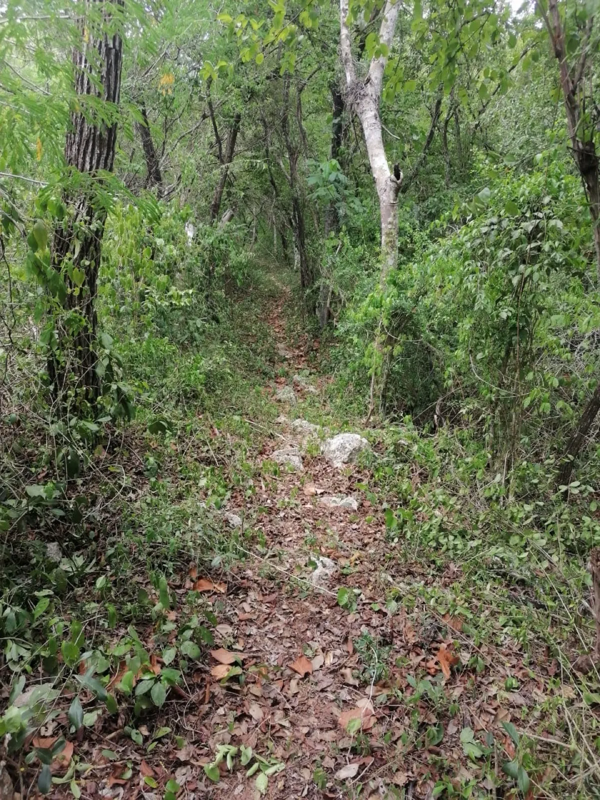 Terreno Spot2