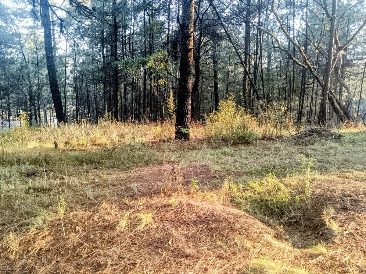 Terreno Spot2