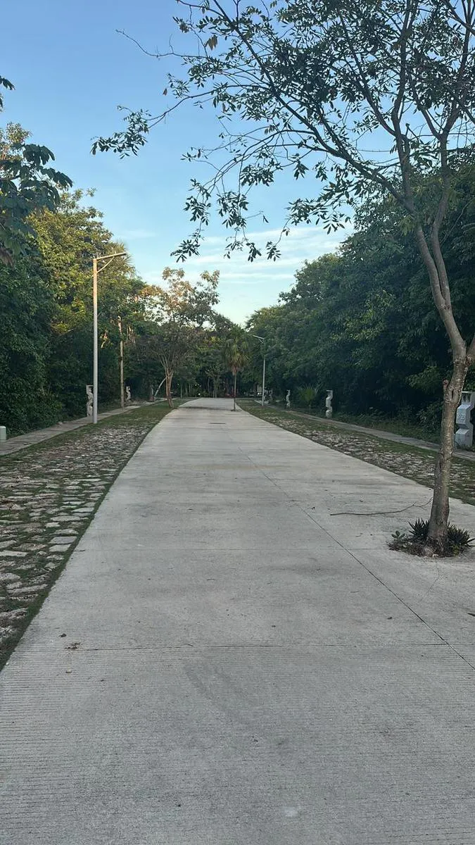 Terreno Spot2