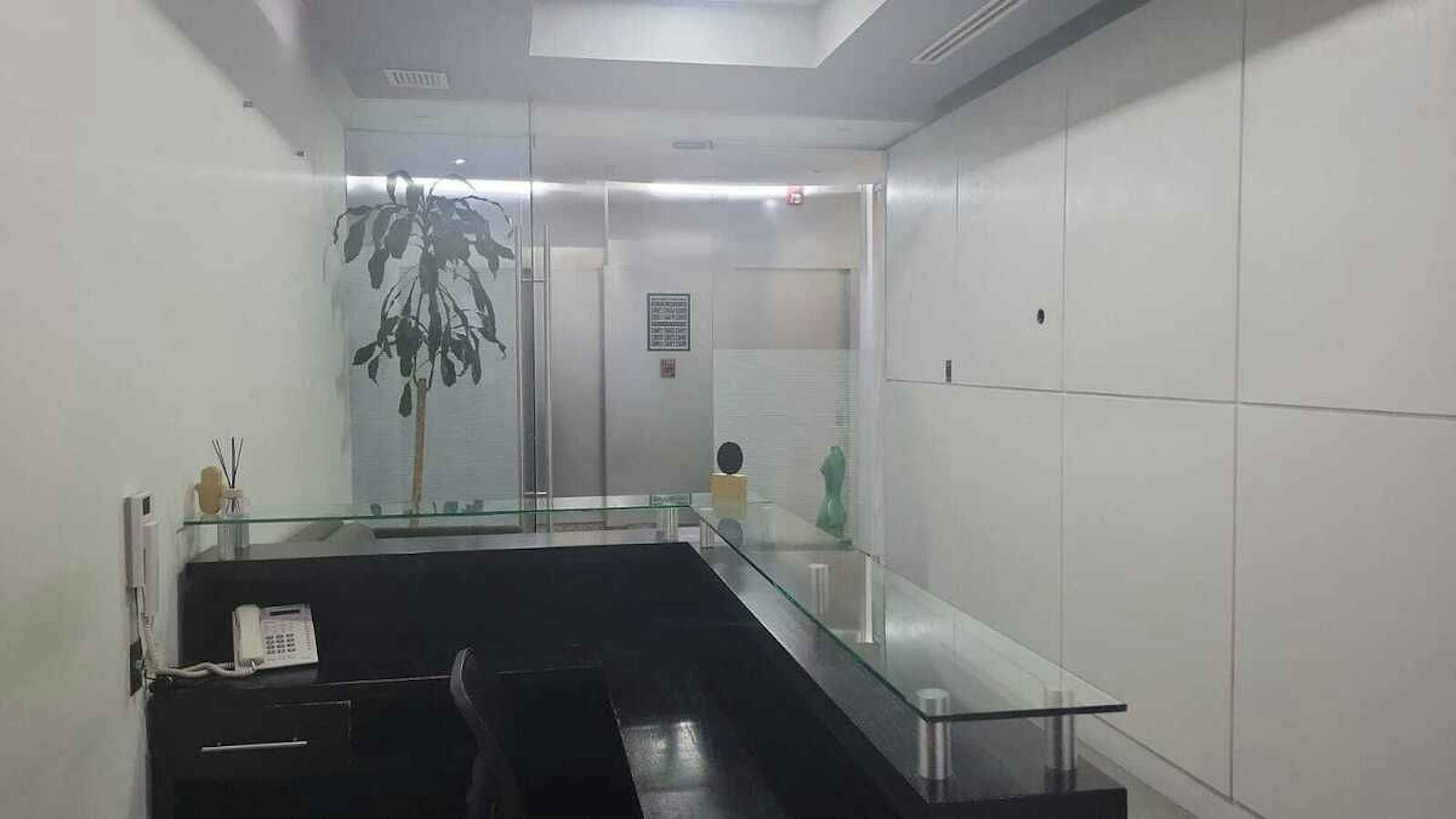 Bosque De Radiatas 32