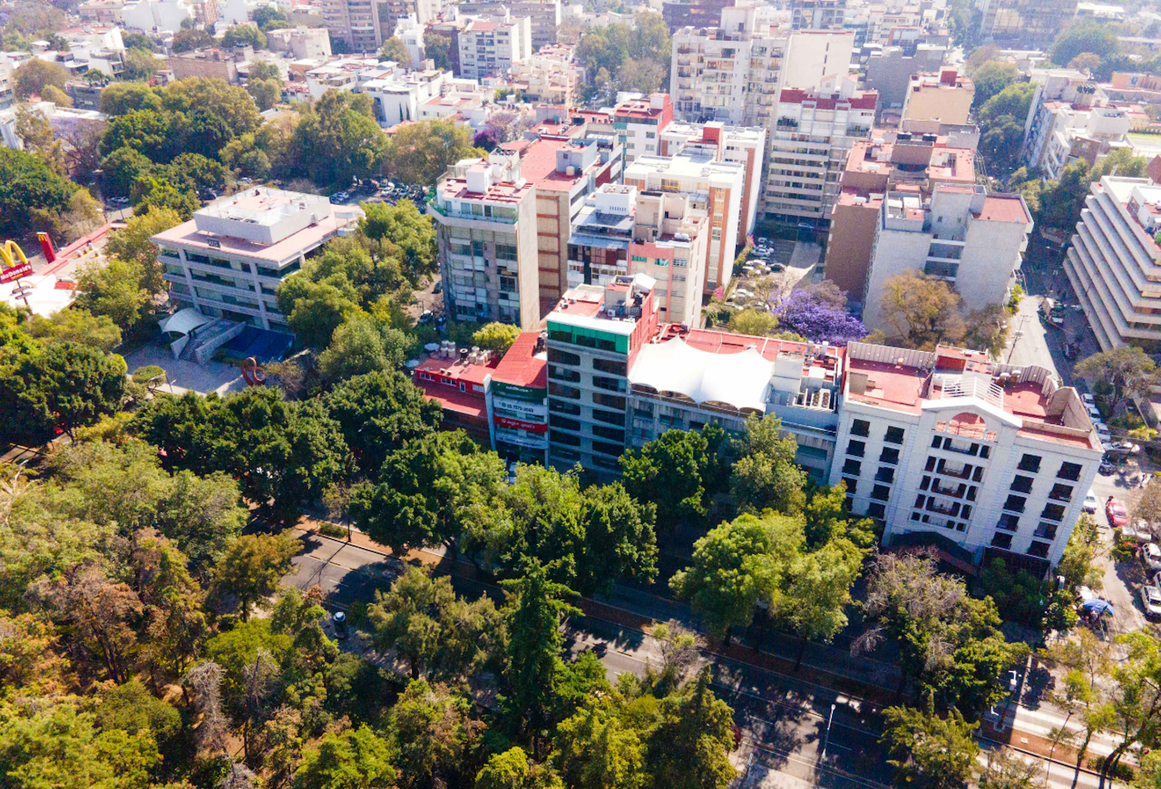 Insurgentes Sur 1160