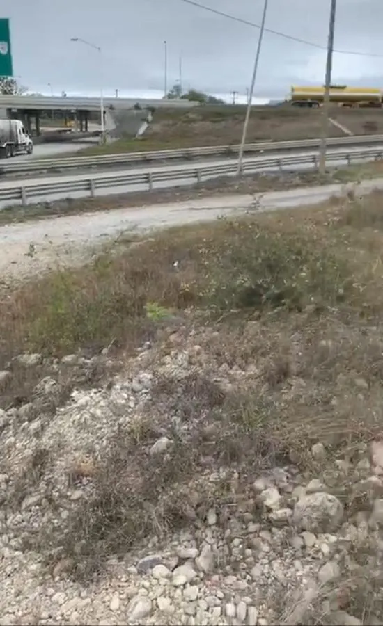 Terreno Spot2
