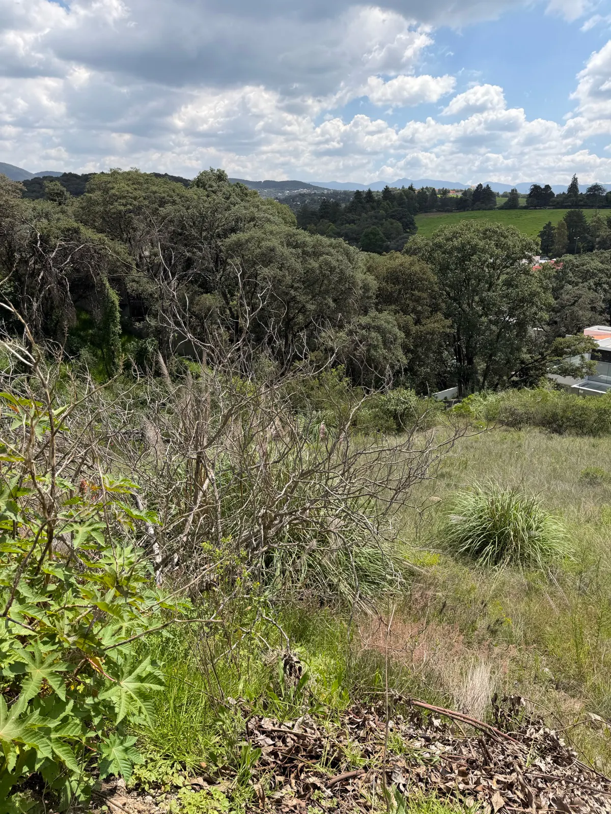 Terreno Spot2