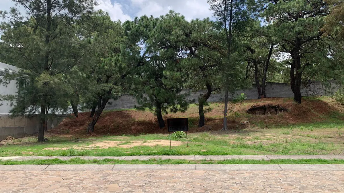 Terreno Spot2