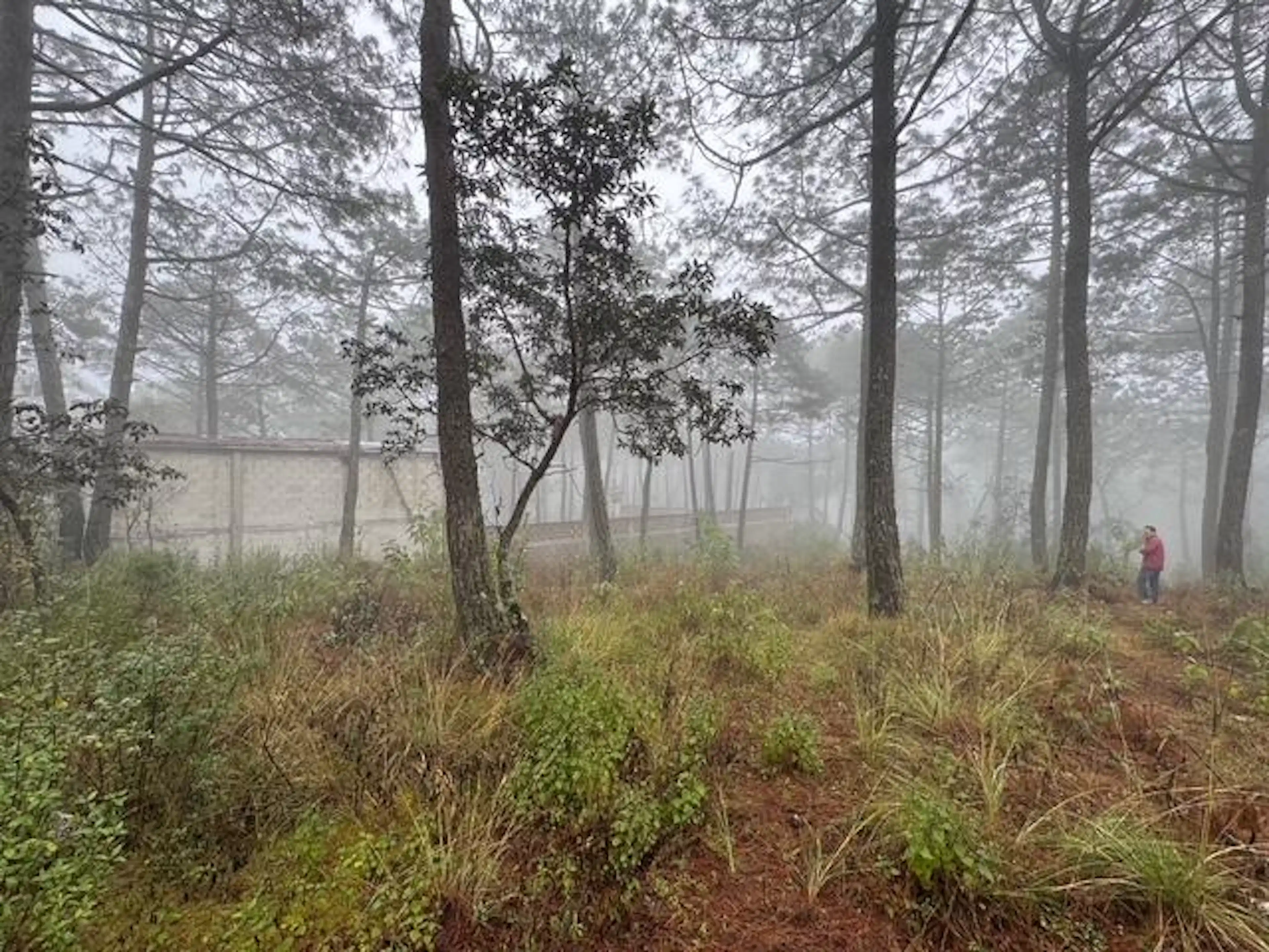 Terreno En Toxtlacoaya Ver, Zona Las Vigas