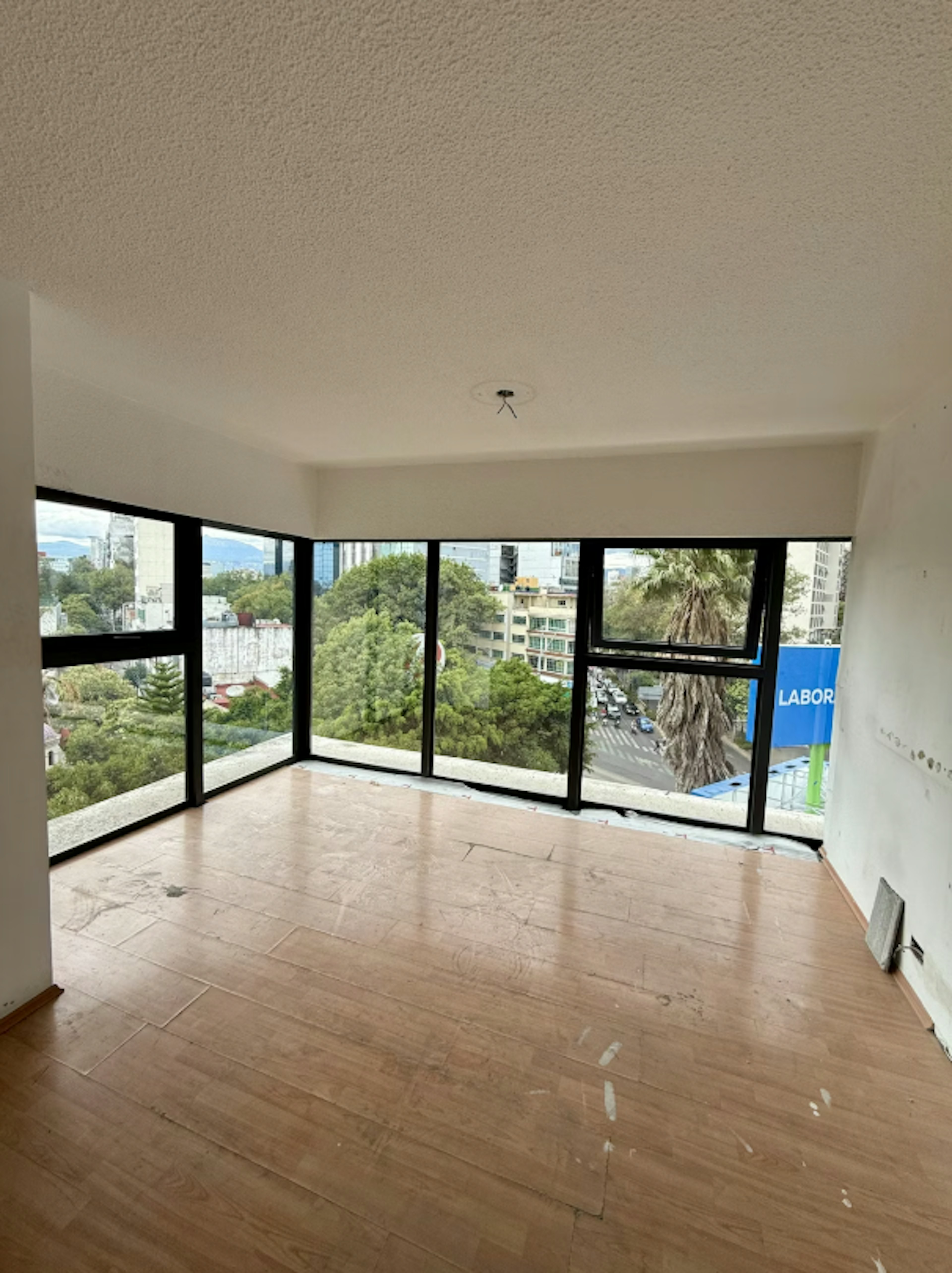 Subdivisión D-photo