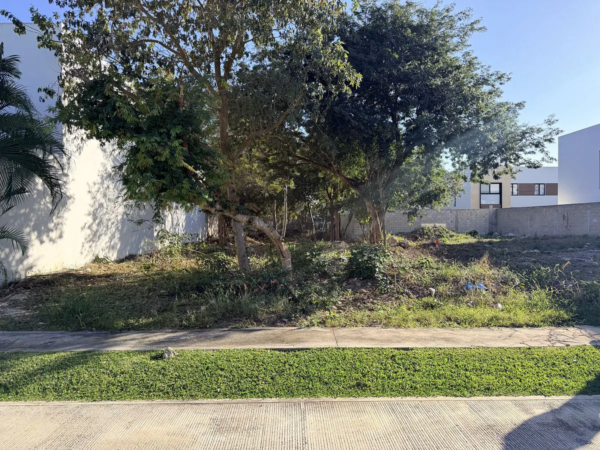 Terreno Spot2