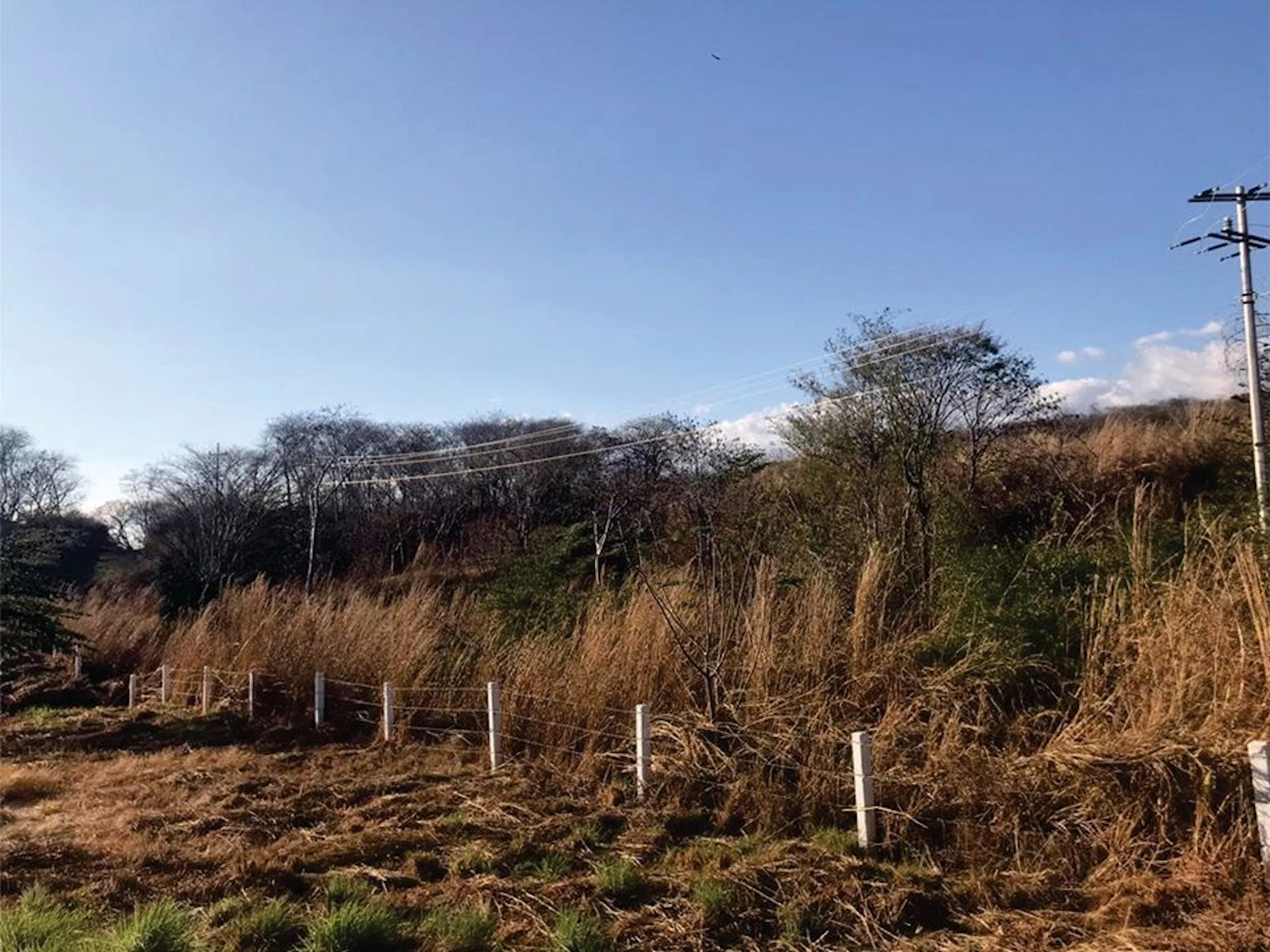 Terreno Spot2