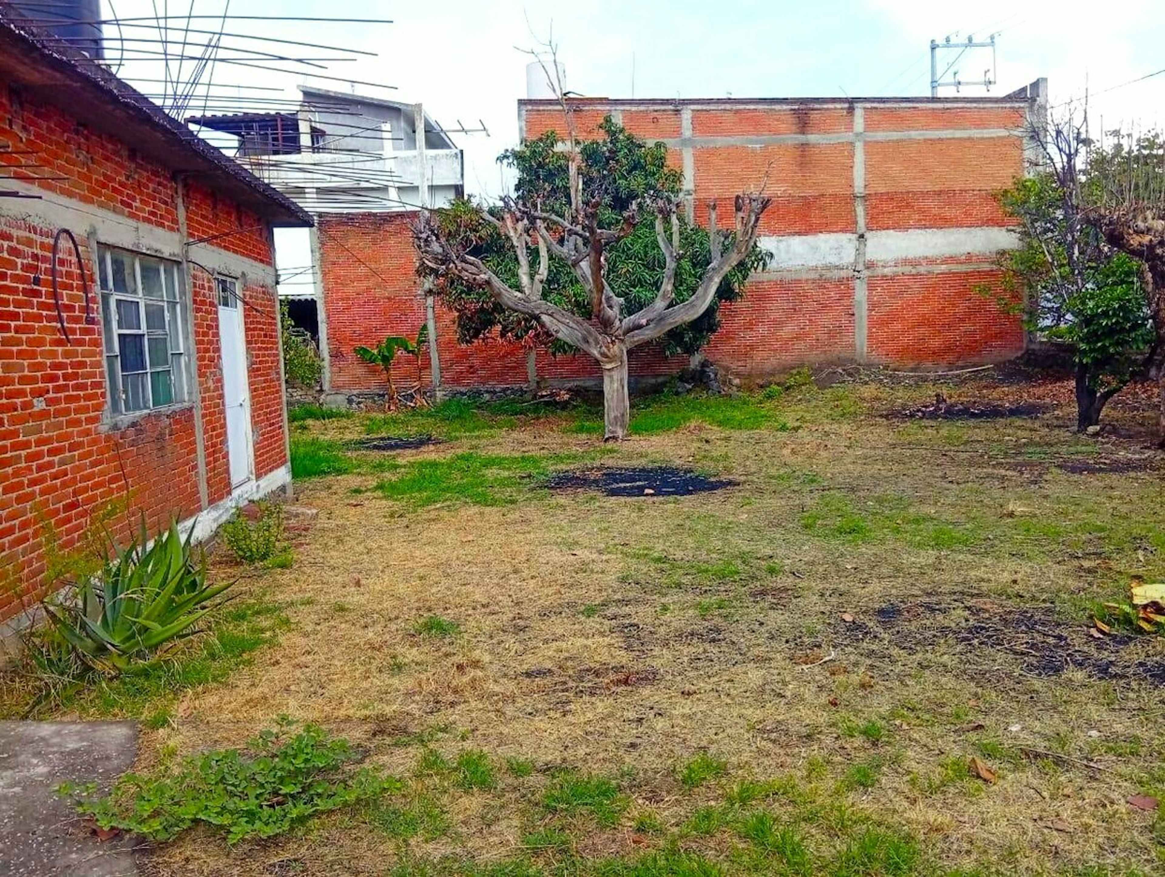 Calle Barranquilla 13