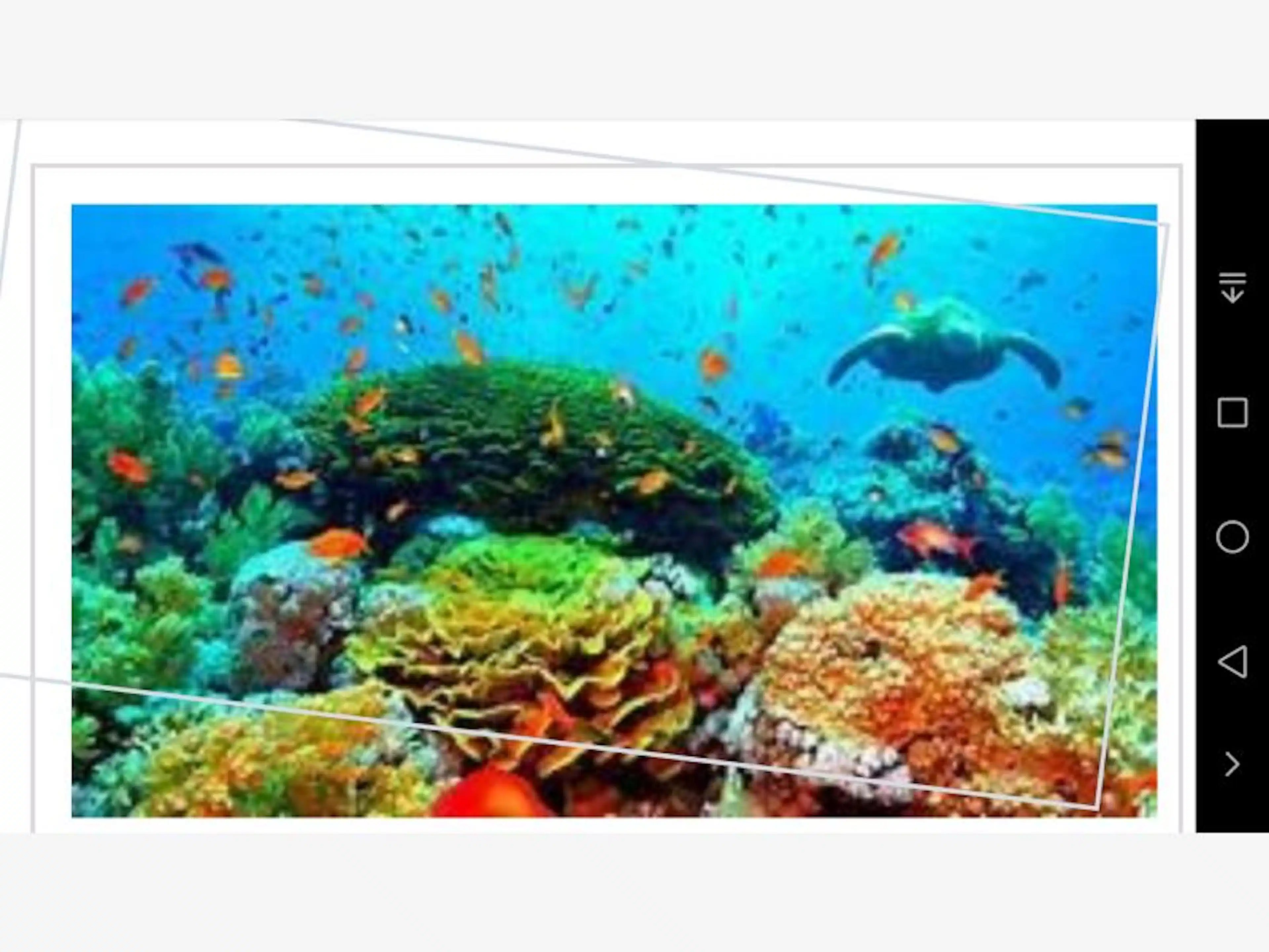 Terreno En Venta En Bosque De Cristo Rey, Solidaridad, Quintana Roo