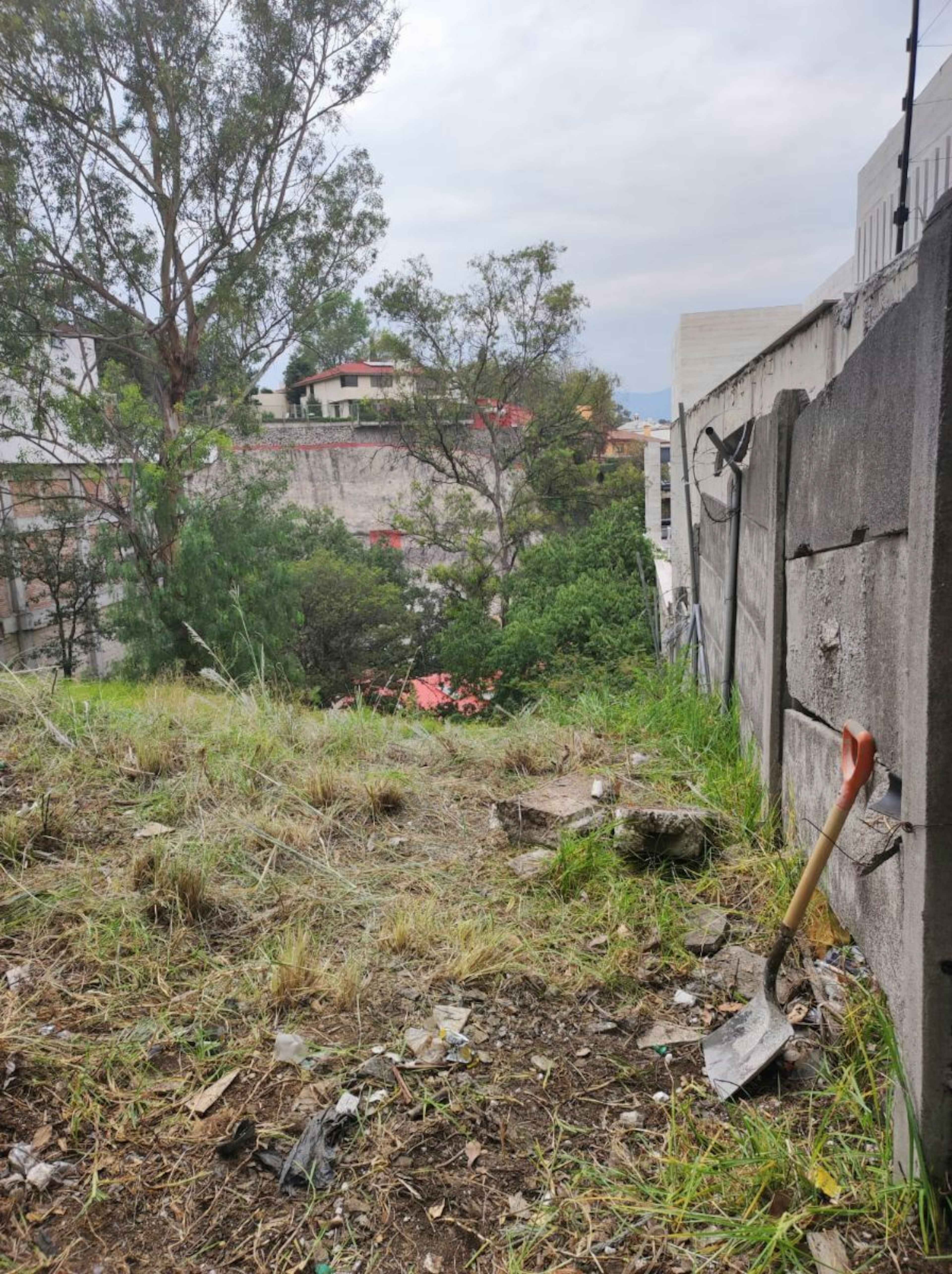 Bosque De Sauces 246