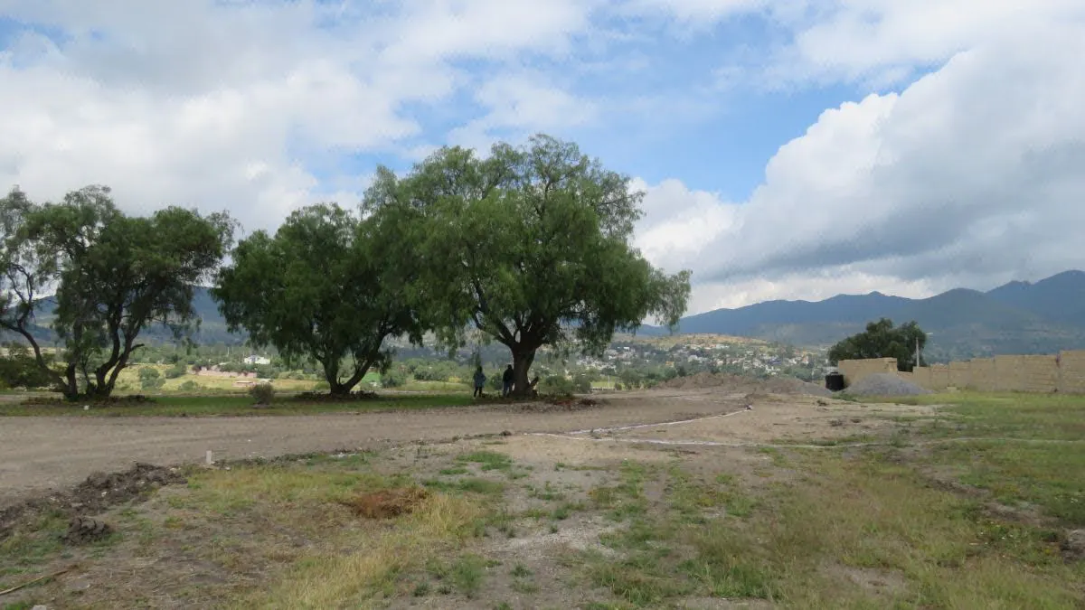 Terreno Spot2