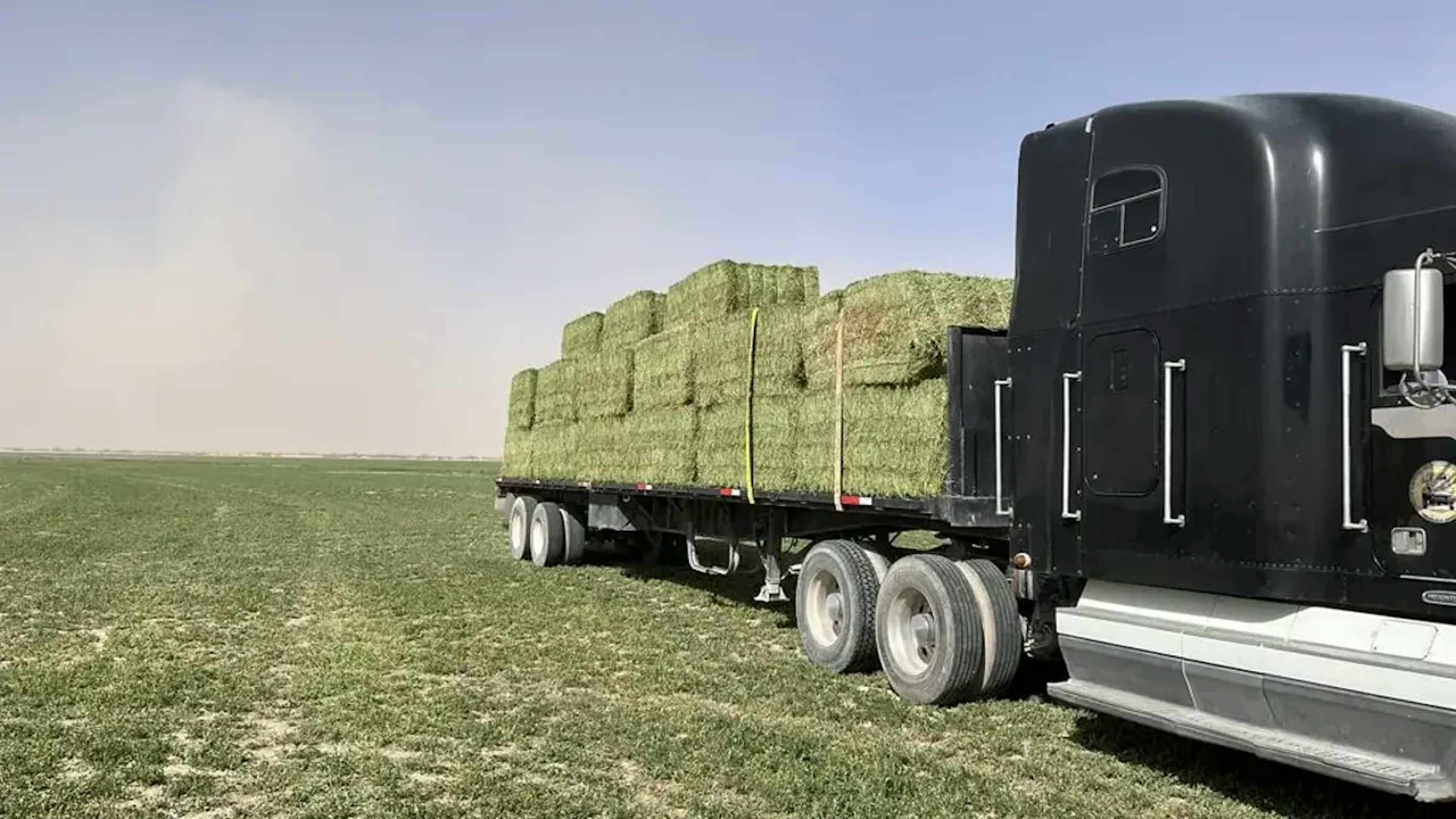 Terreno En Venta En San Juan De Banderas, Tlahualilo, Durango