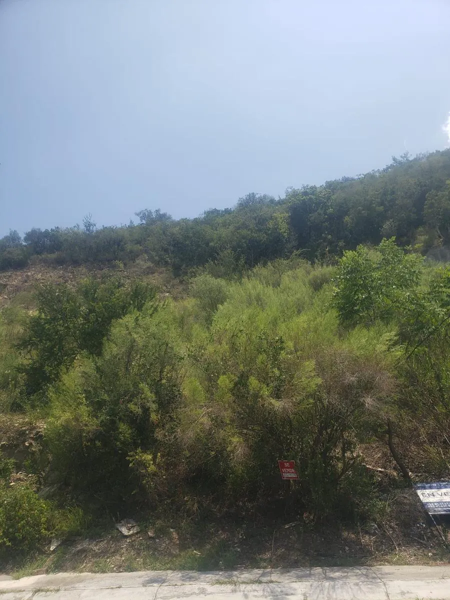 Terreno Spot2