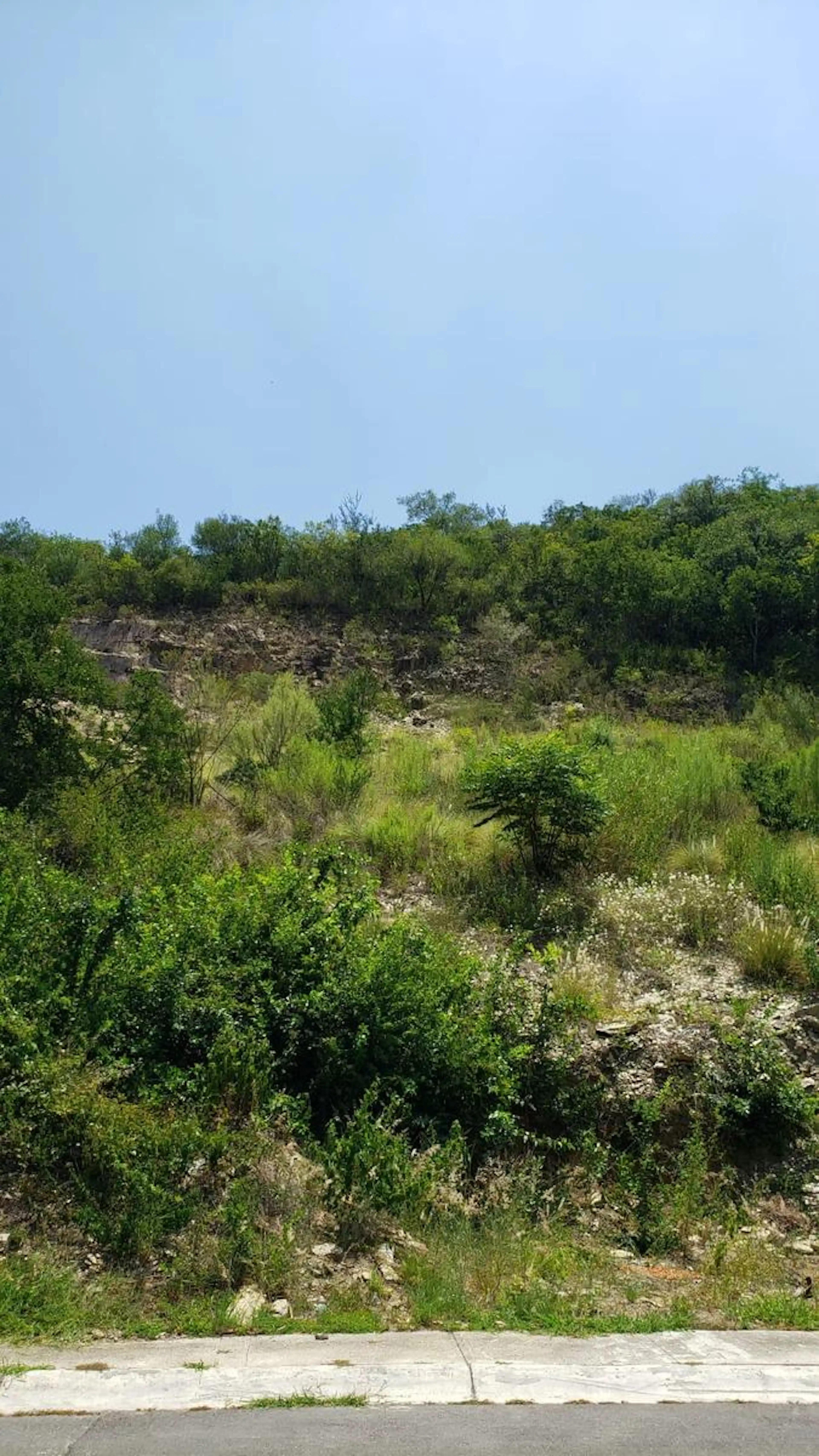 Terreno En Sierra Alta, Monterrey
