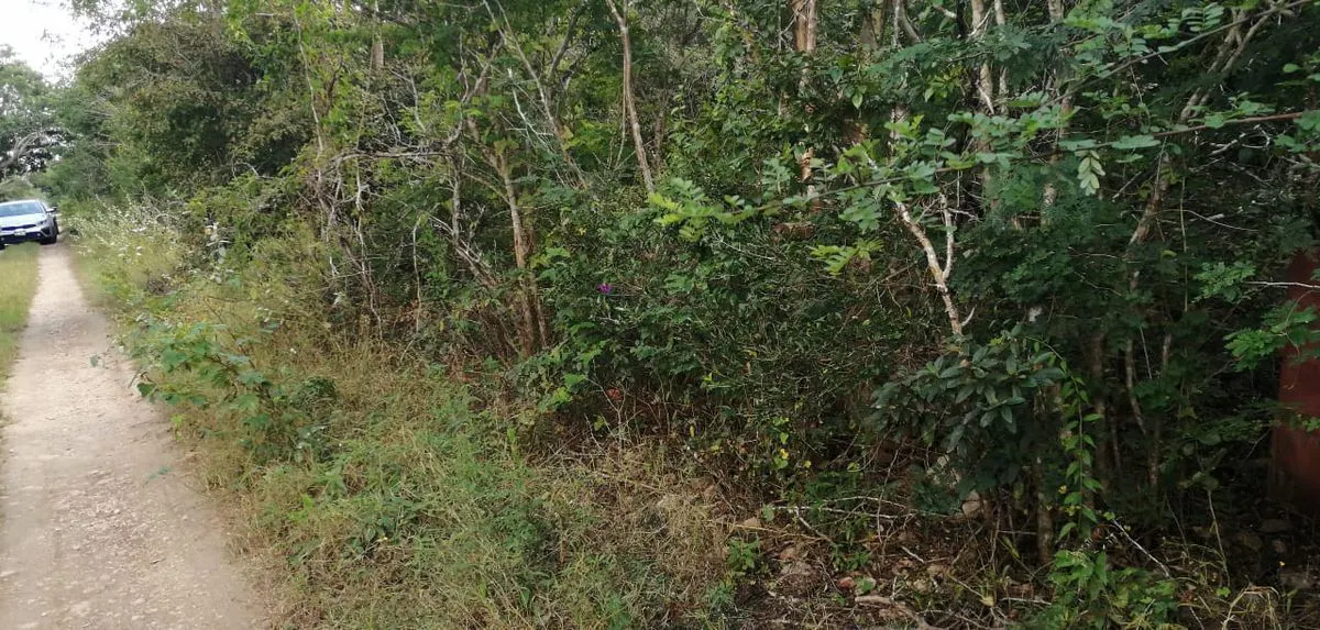 Terreno Spot2
