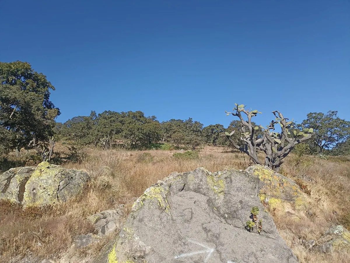 Terreno Spot2