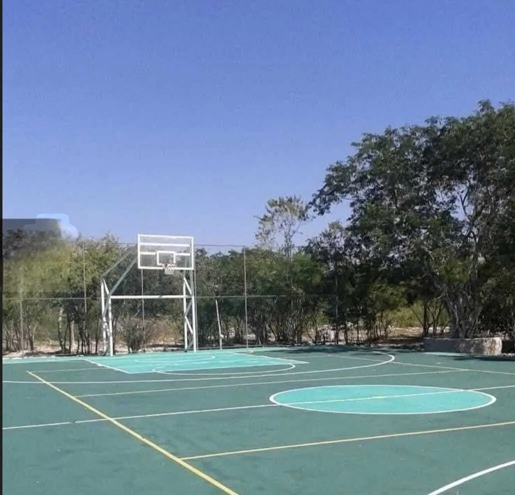 Terreno Spot2