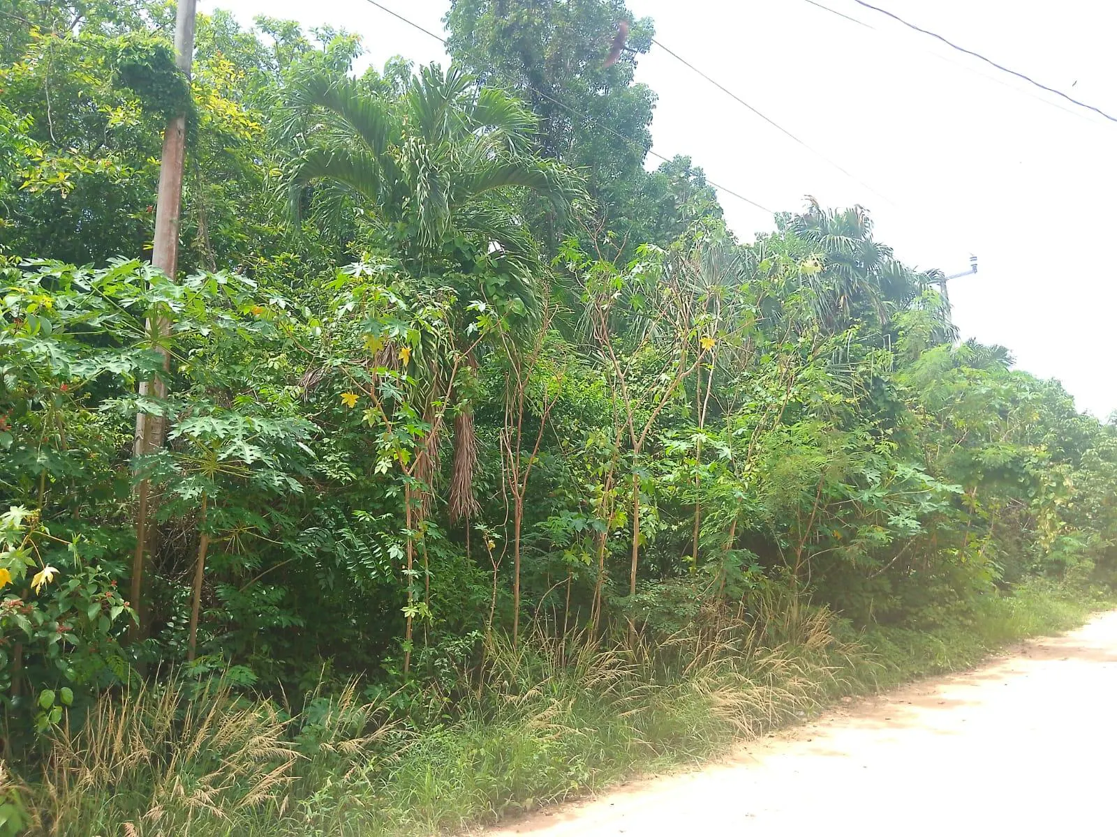 Terreno Spot2