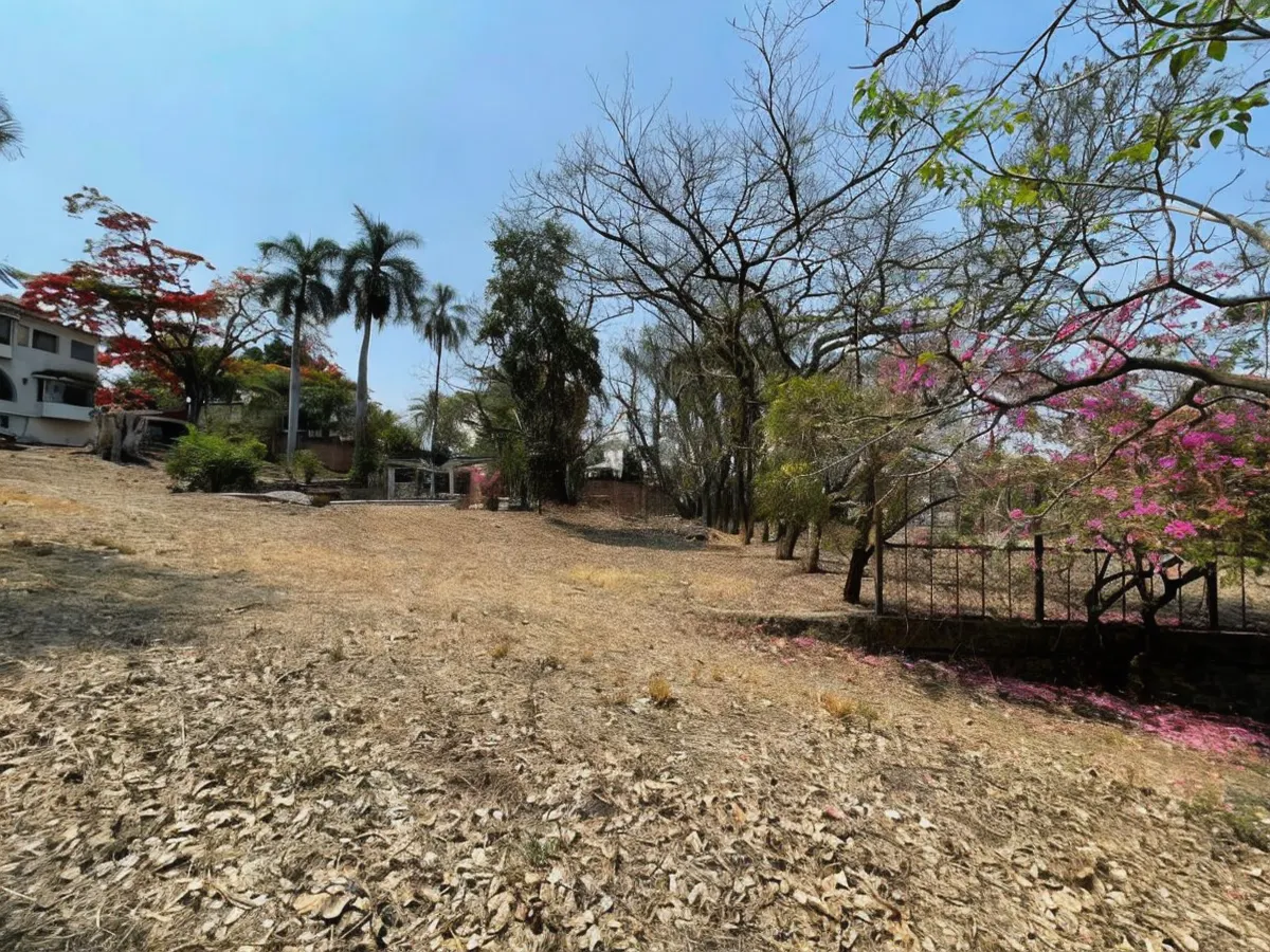 Terreno Spot2