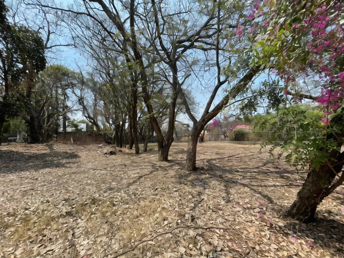 Terreno Spot2