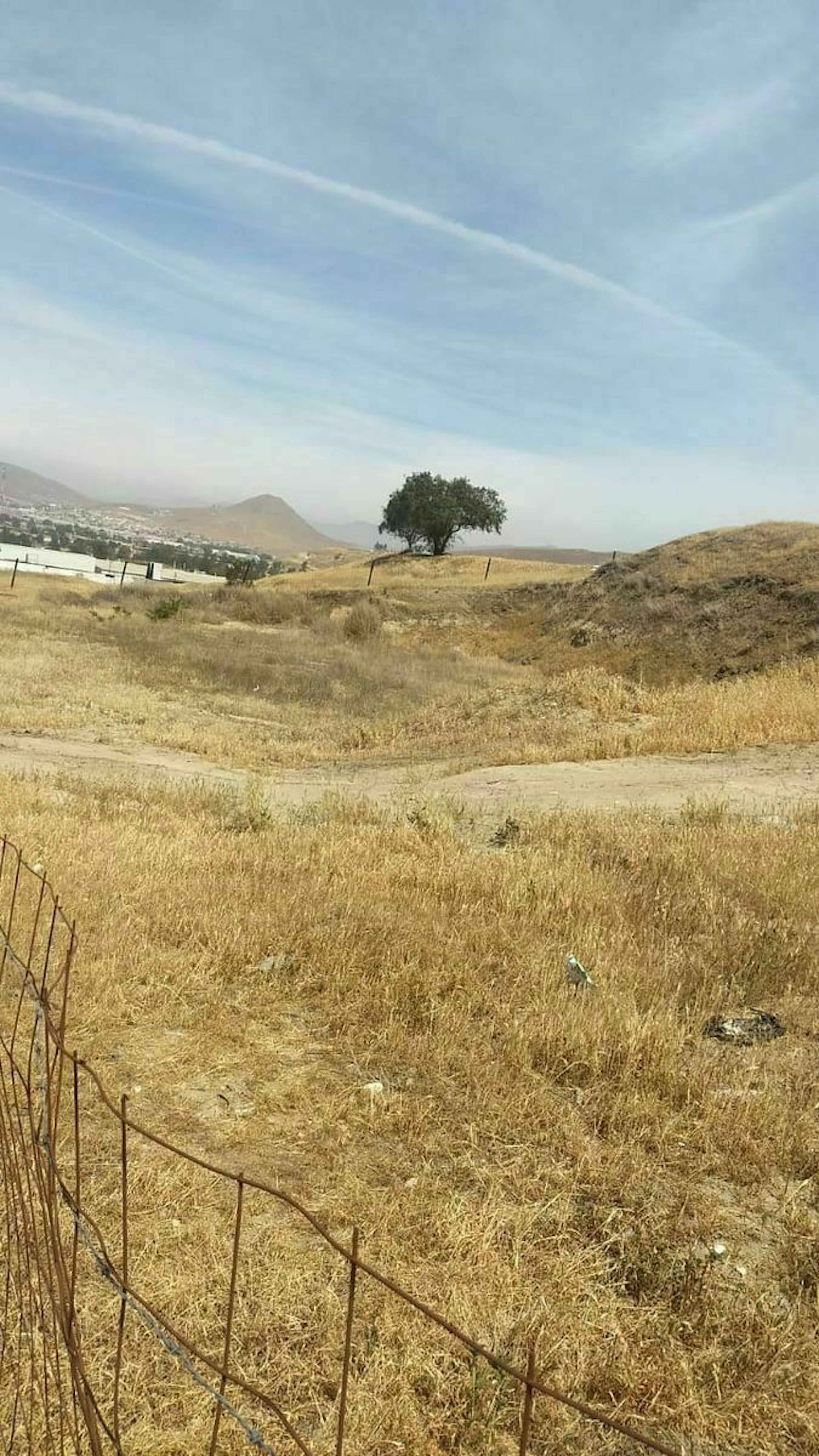 Tecate - Tijuana 22701