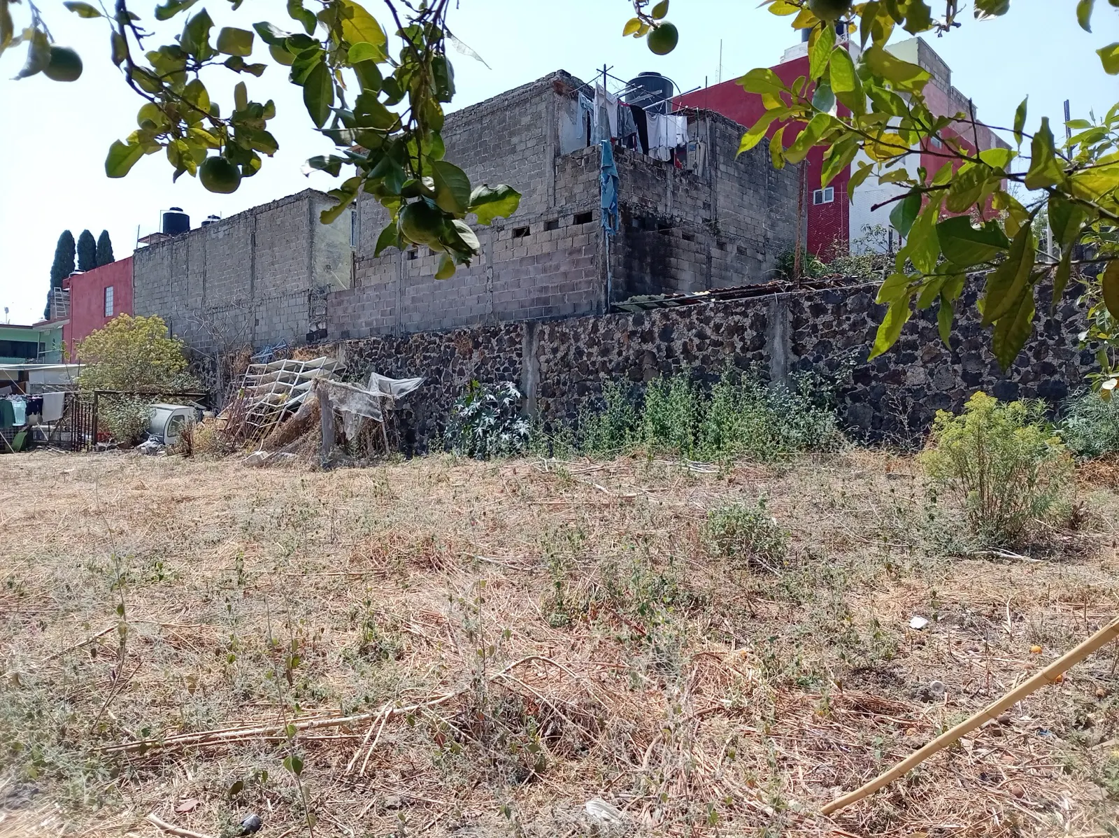 Terreno Spot2