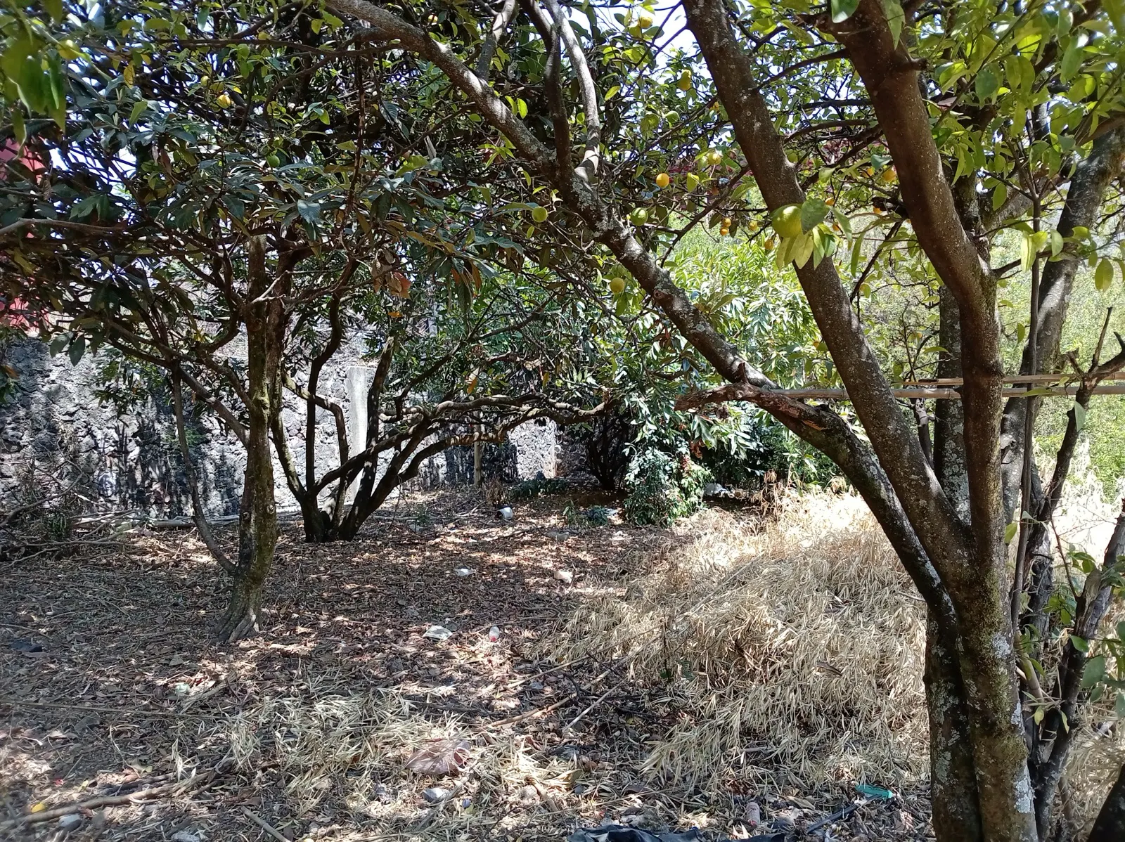 Terreno Spot2