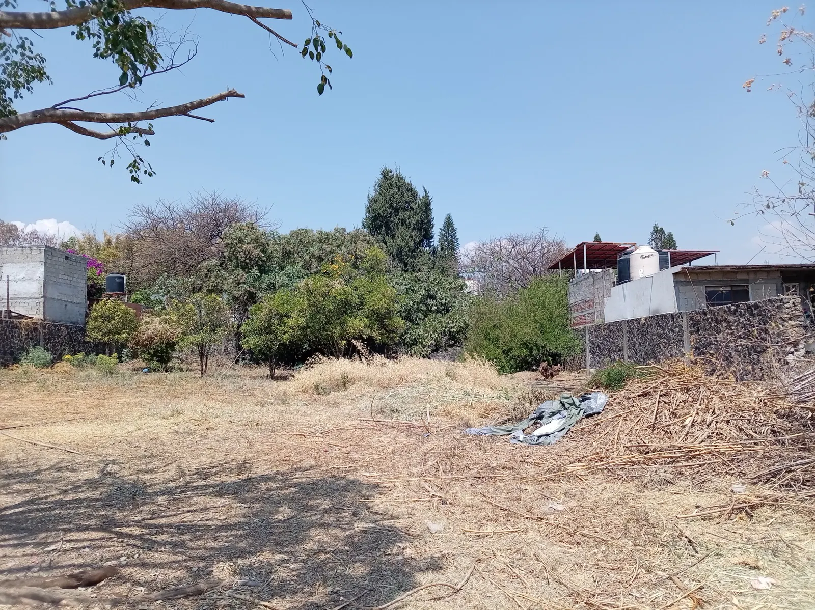 Terreno Spot2