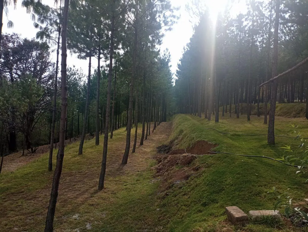 Terreno Spot2