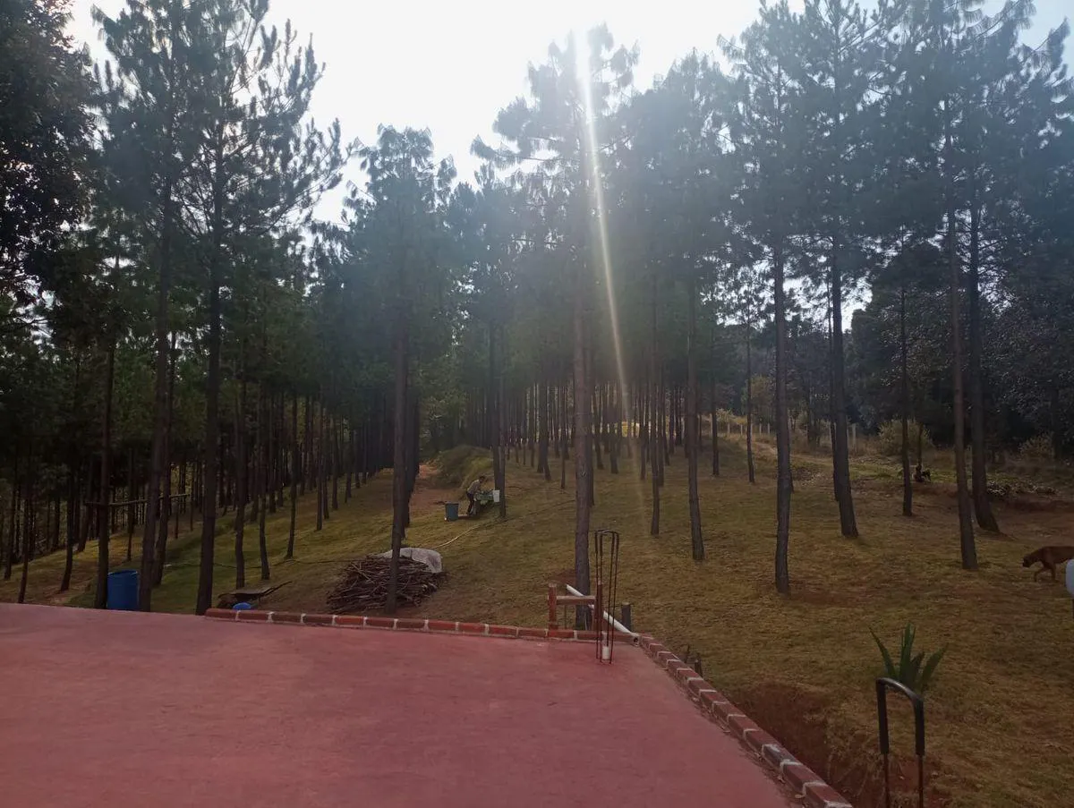 Terreno Spot2