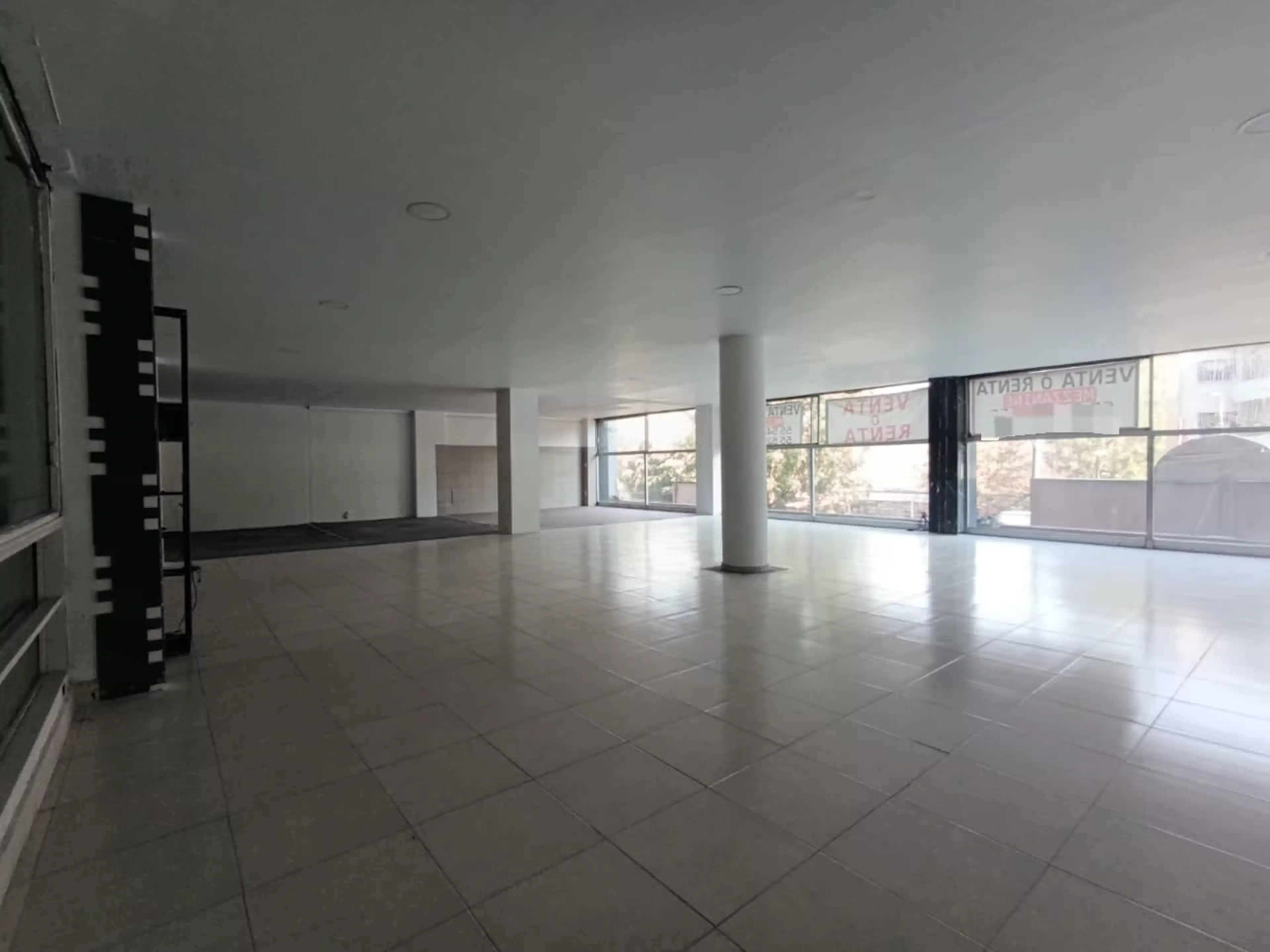 Avenida Insurgentes Sur