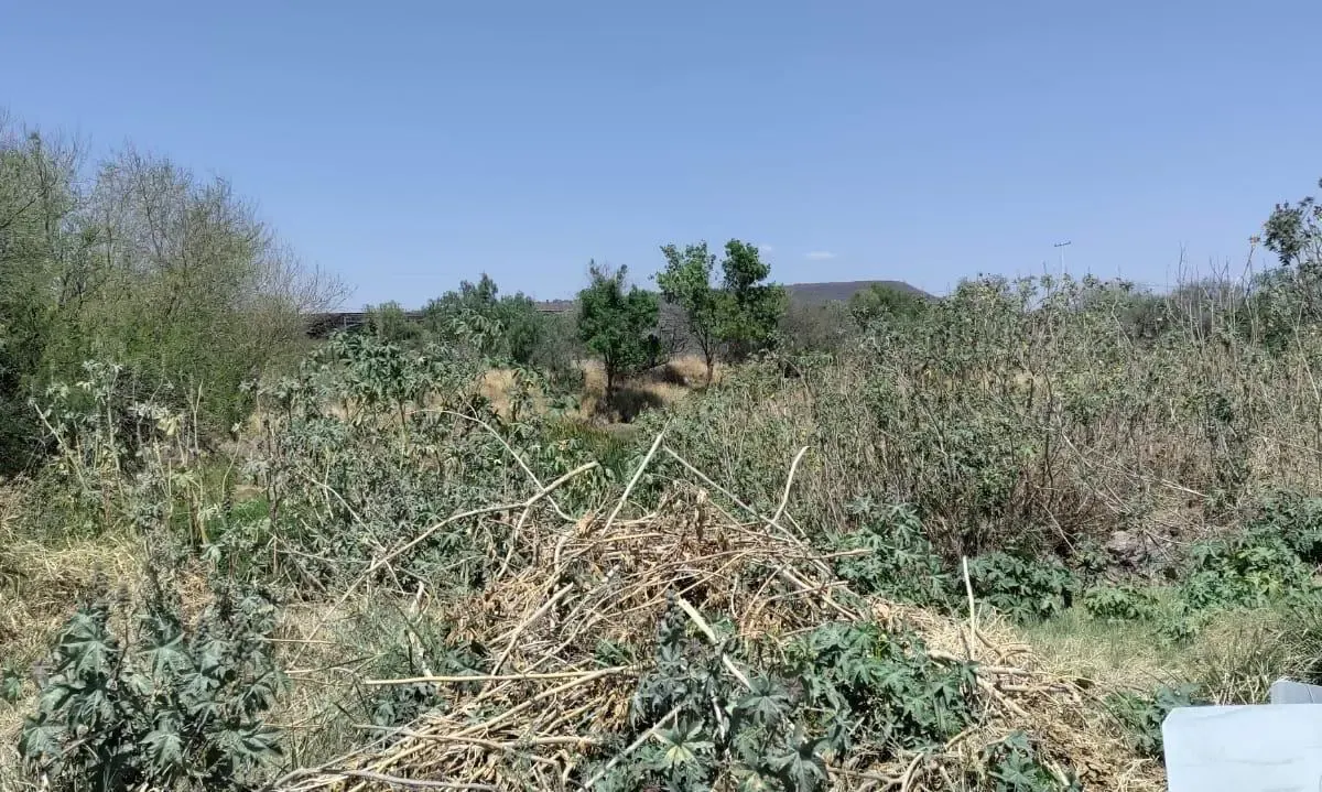 Terreno Spot2