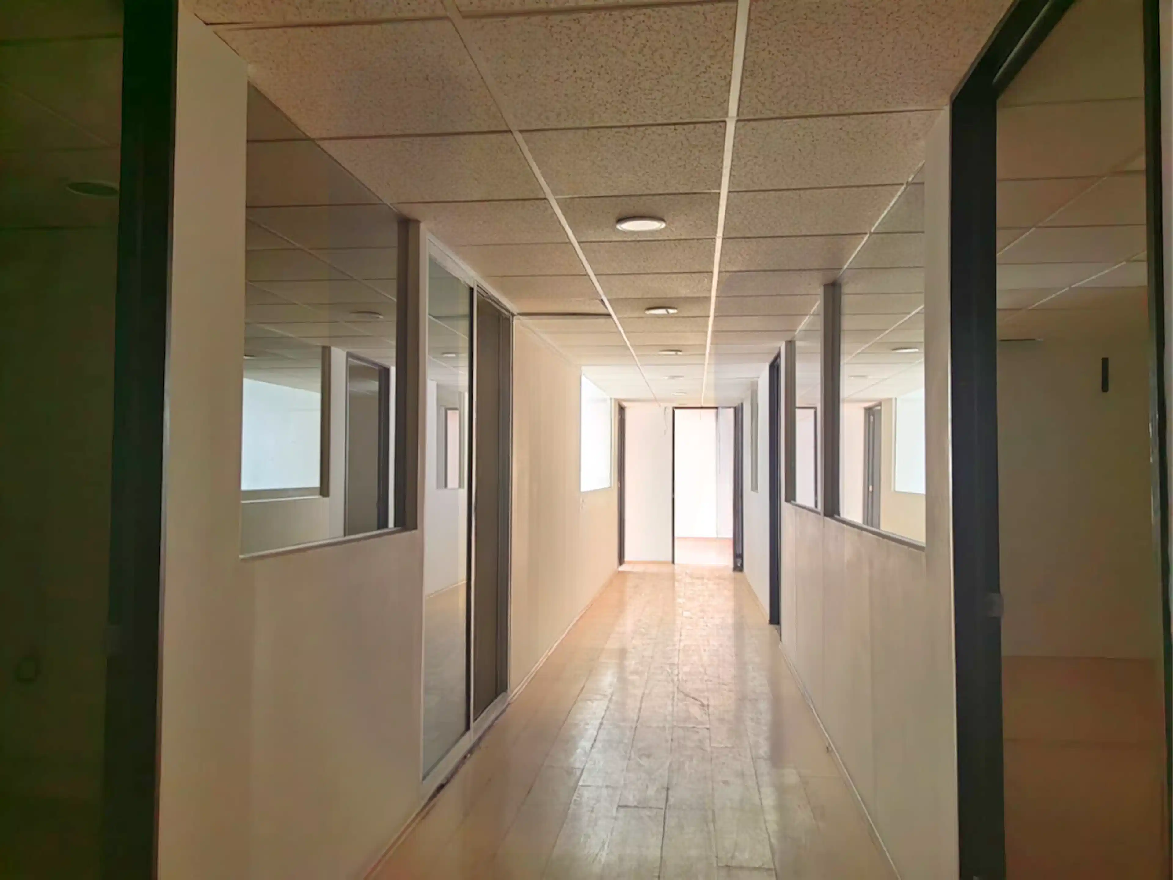 Oficina en renta | 340 m² | Lomas de Chapultepec