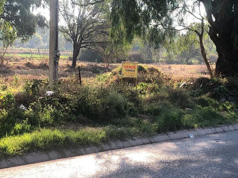 Terreno Spot2